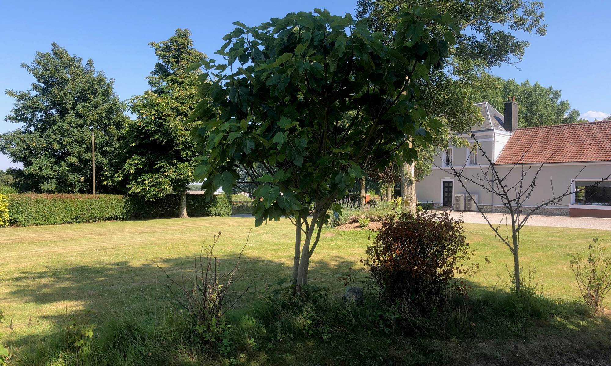 La sérénité de la Bercerie