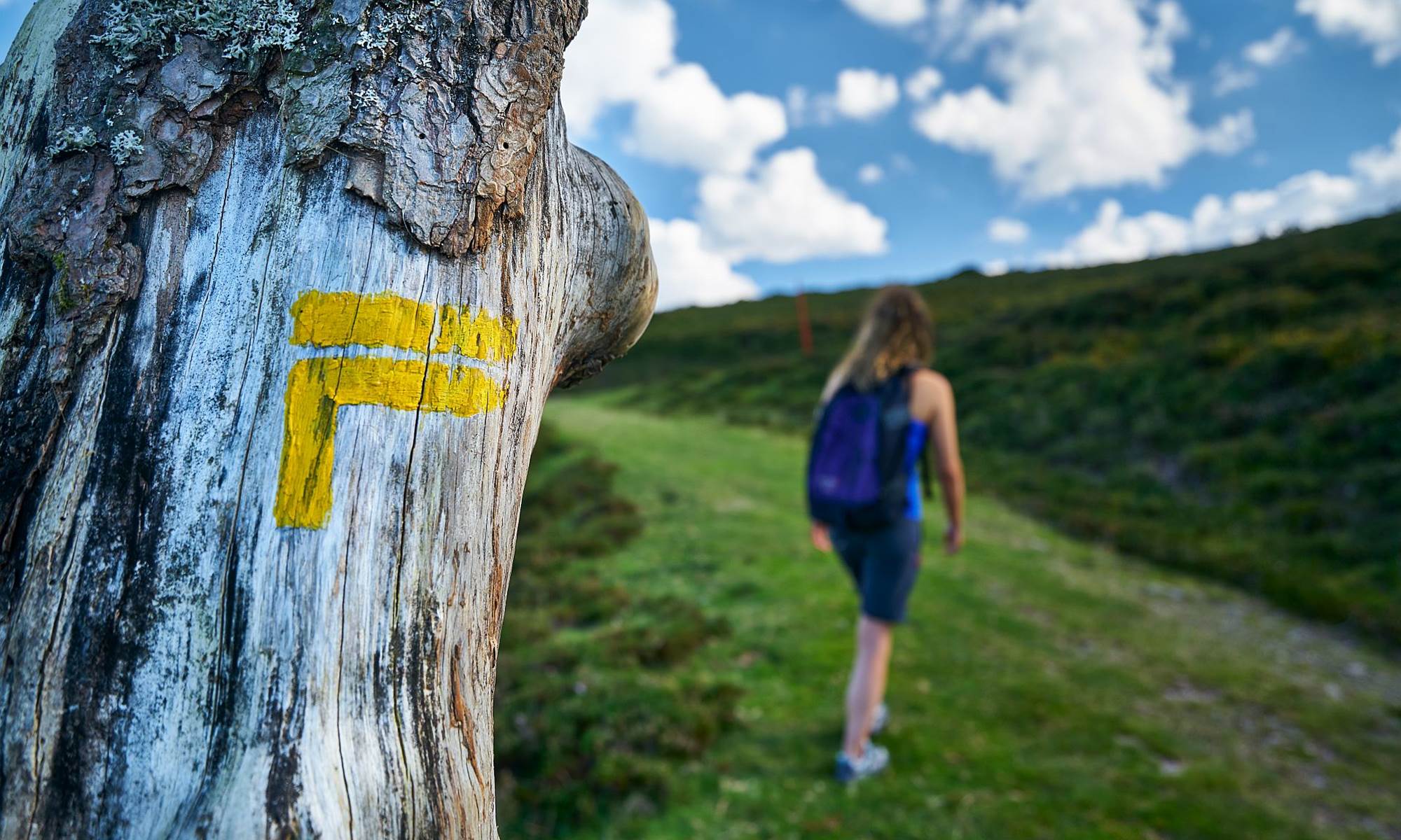 Randonneuse II - ISSARBE (©ABACO DIGITAL) - DI