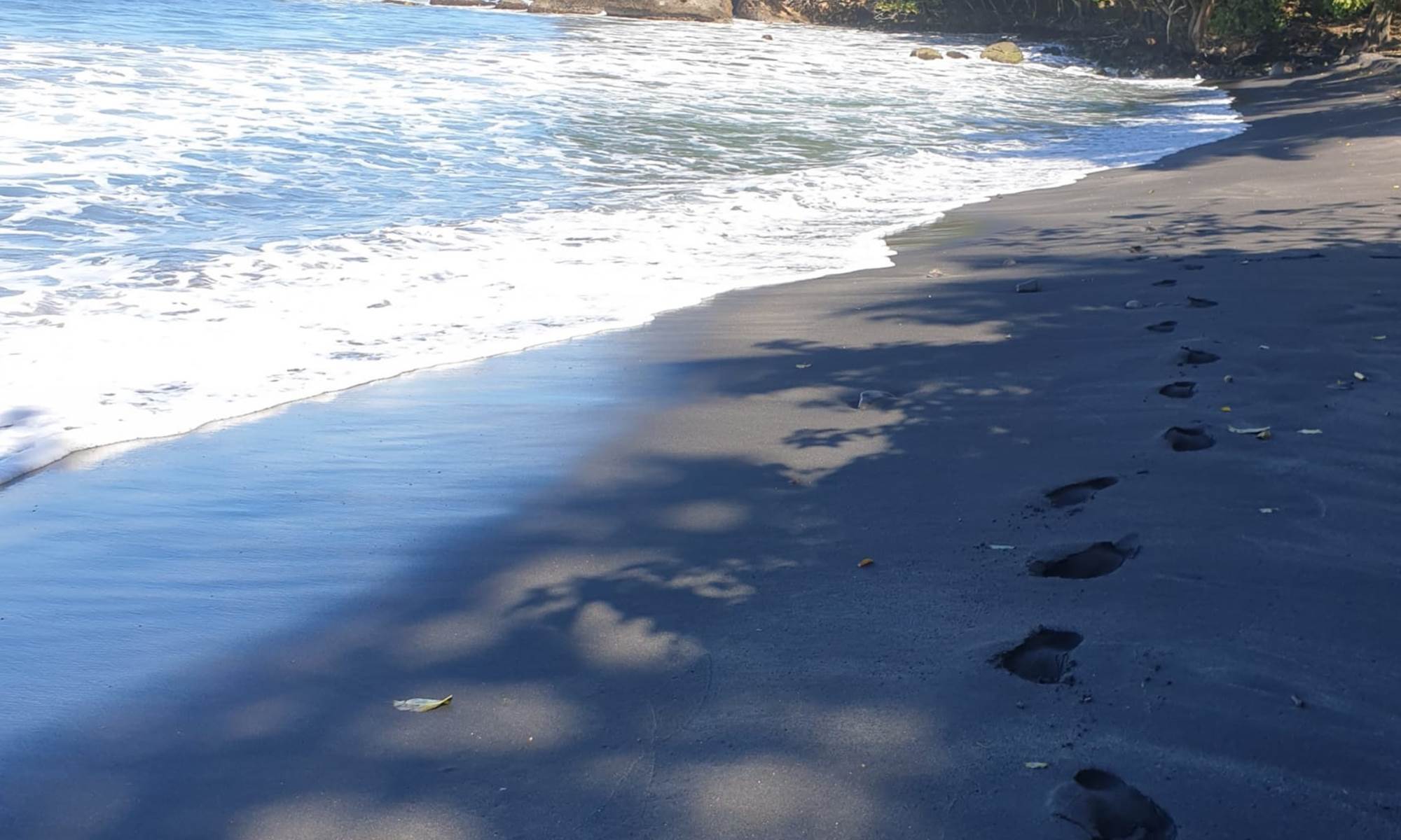 <img src="chemin-de-l-image.jpg" alt="Plages sauvages du nord de la Martinique, proche de La Maison de Clémentine, hébergements de luxe à Fort-de-France" />-galerie