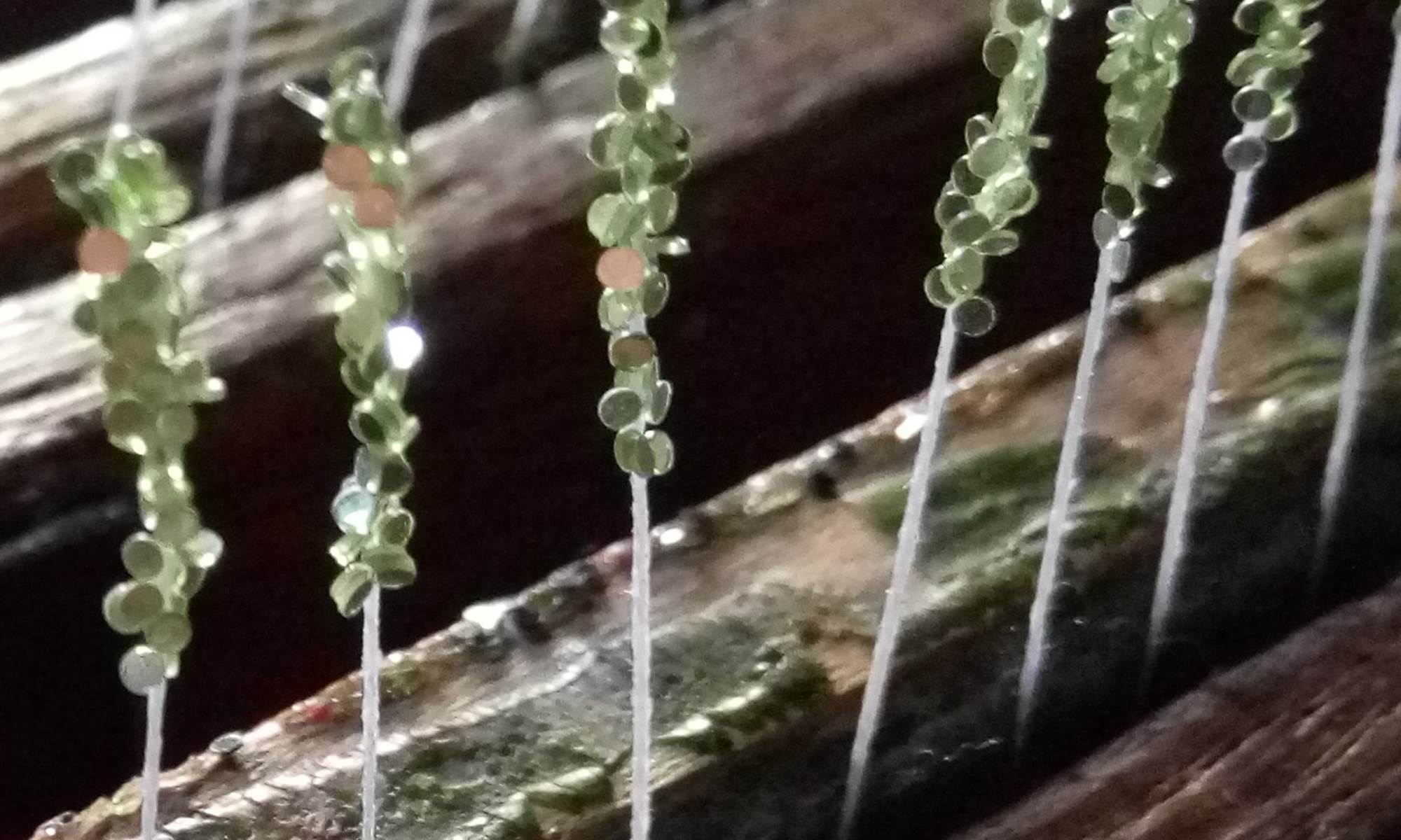 Savoir-faire-galerie