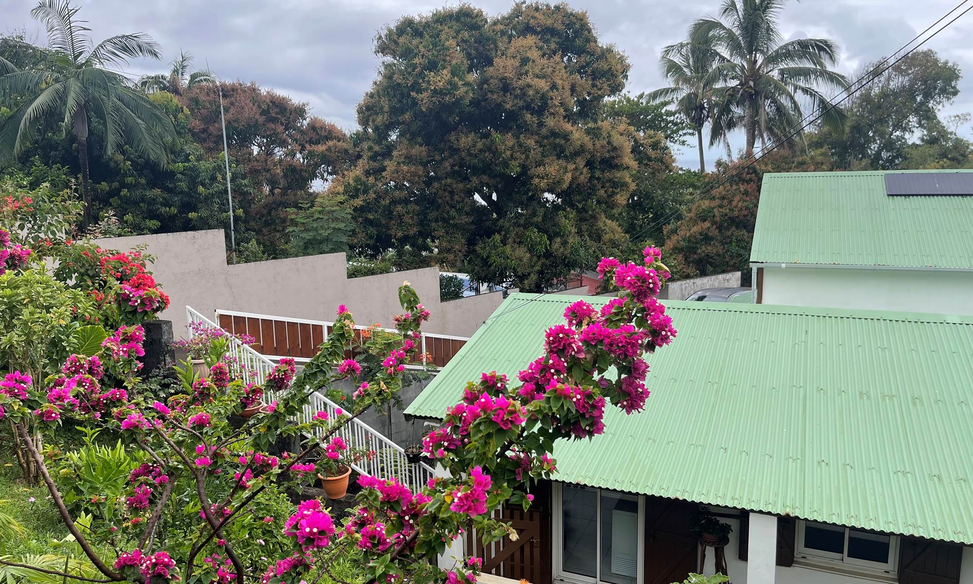 Vacances Ile de la Réunion-galerie
