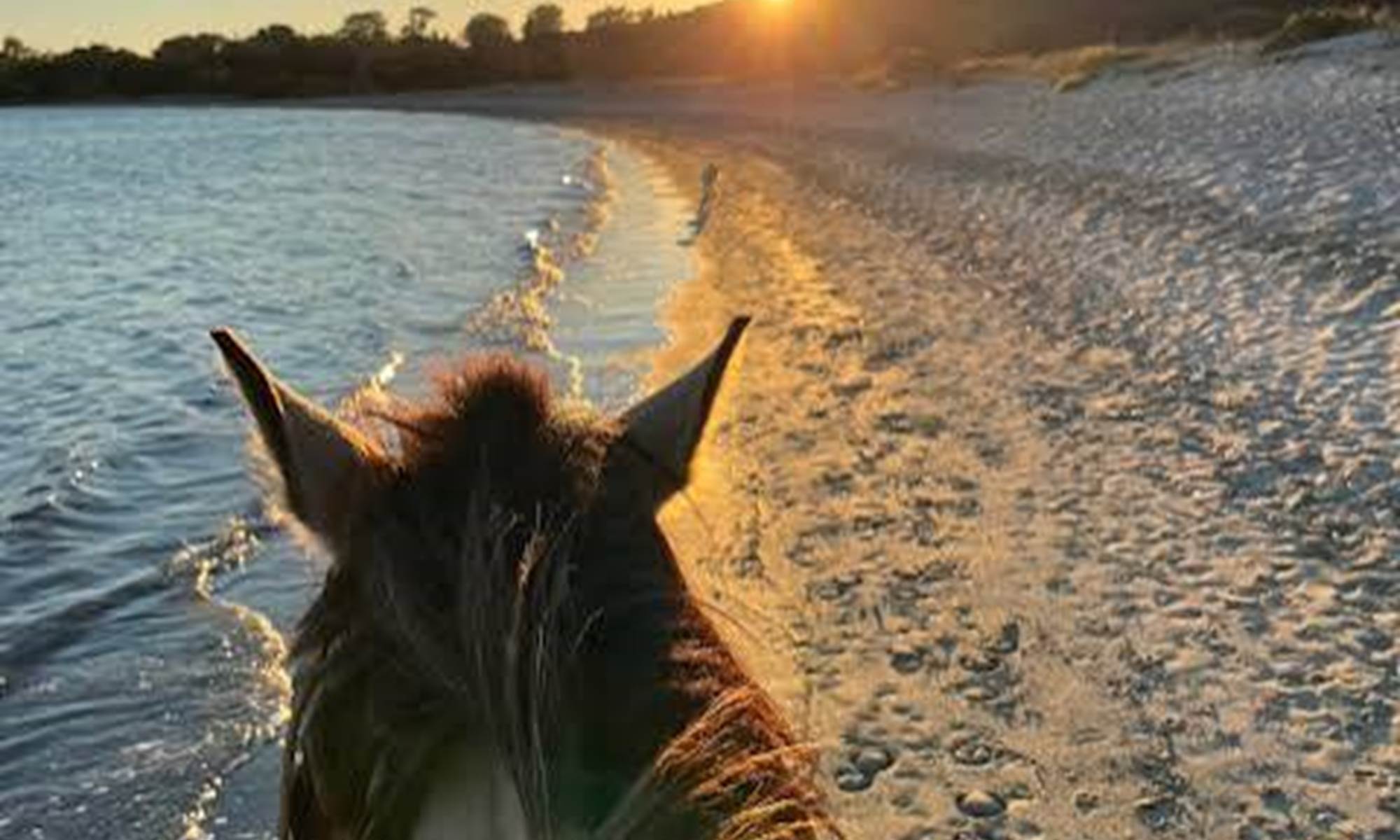 BALADE A CHEVAL SUR LA PLAGE DE PORTO POLLO