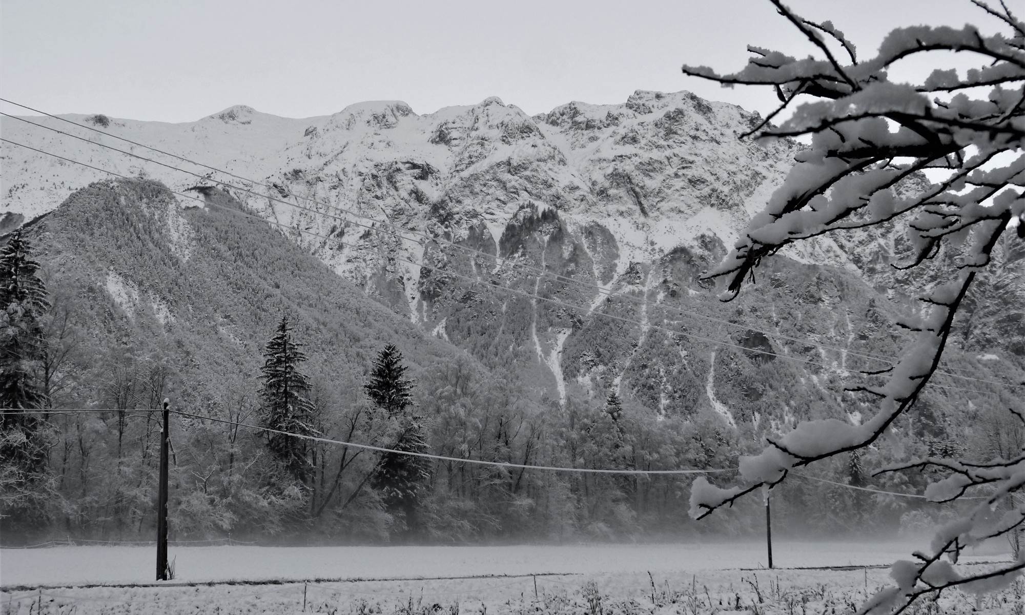 neige_3 noir et blanc