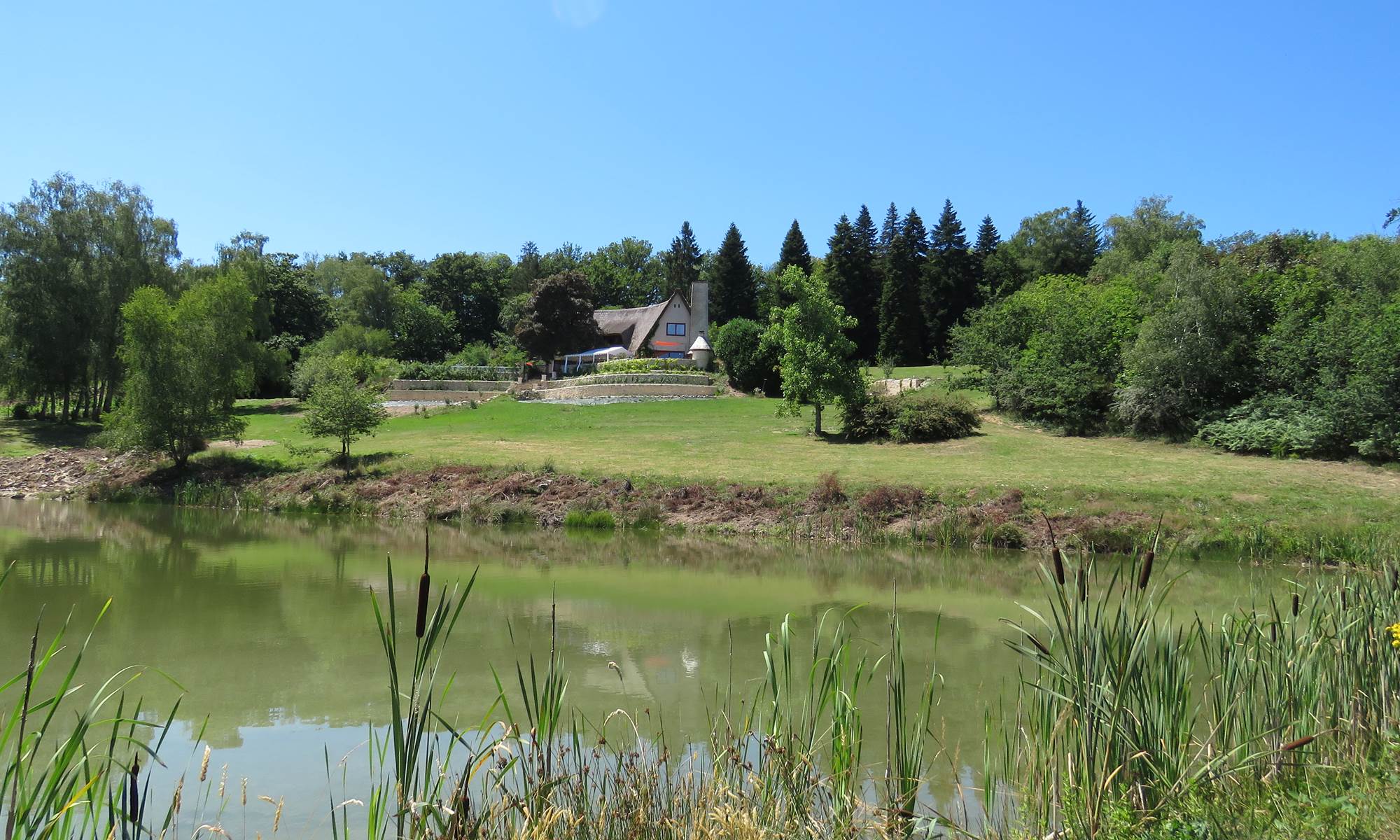 Les bois de Saint-Auvent, vue de l'étang-galerie
