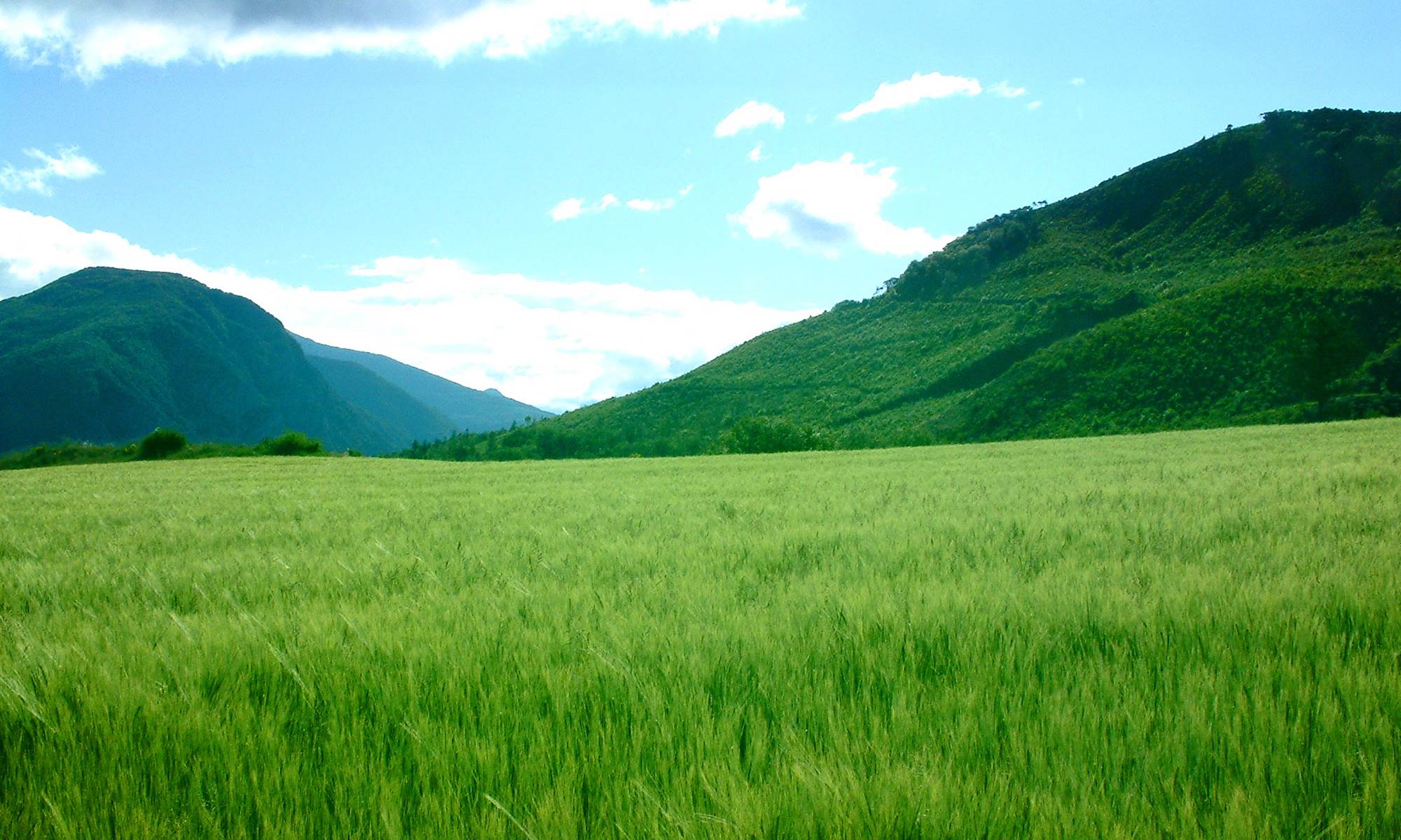 vue sur les collines-galerie