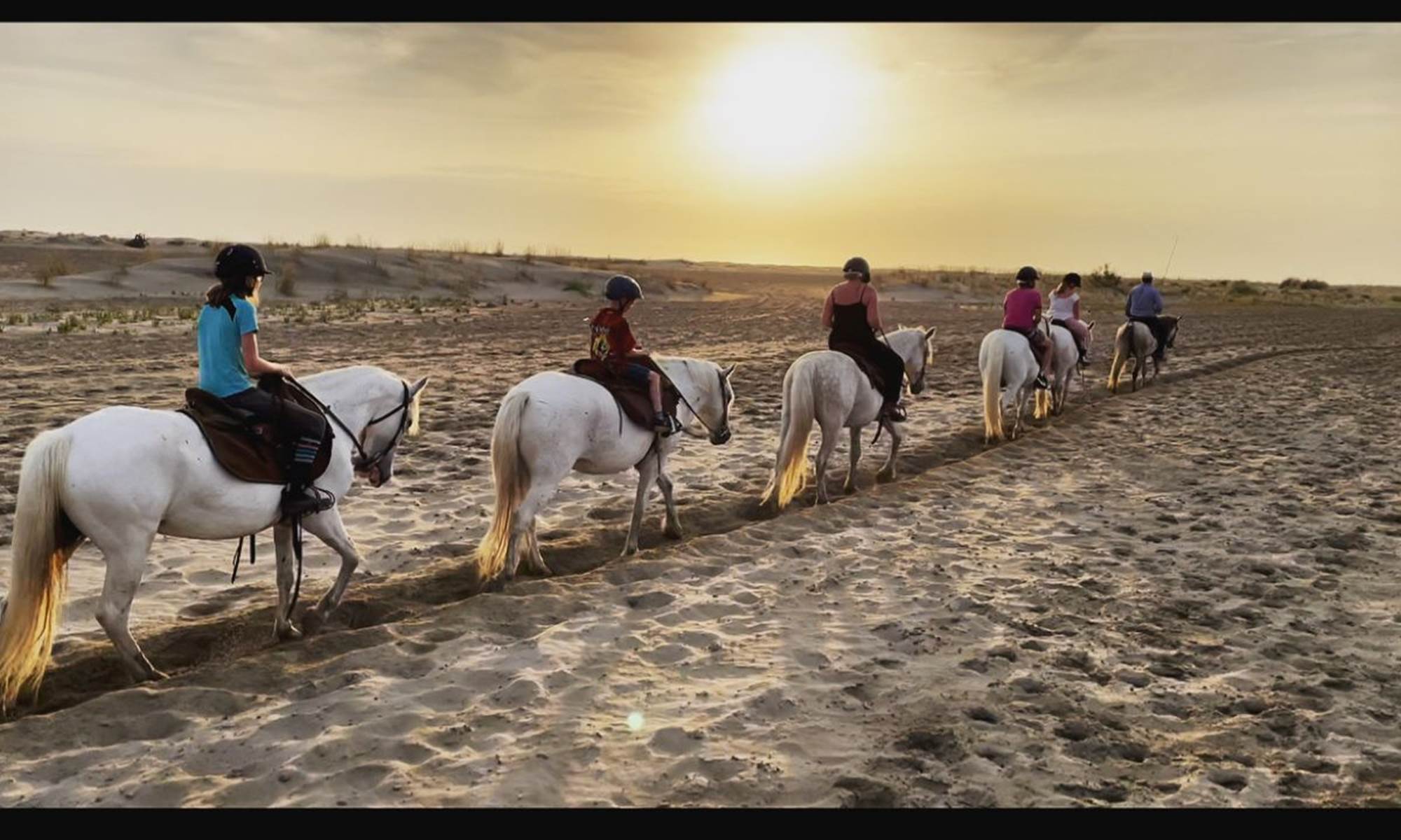 27957D1A-39FC-4989-B943-20570C667DA6 (2)