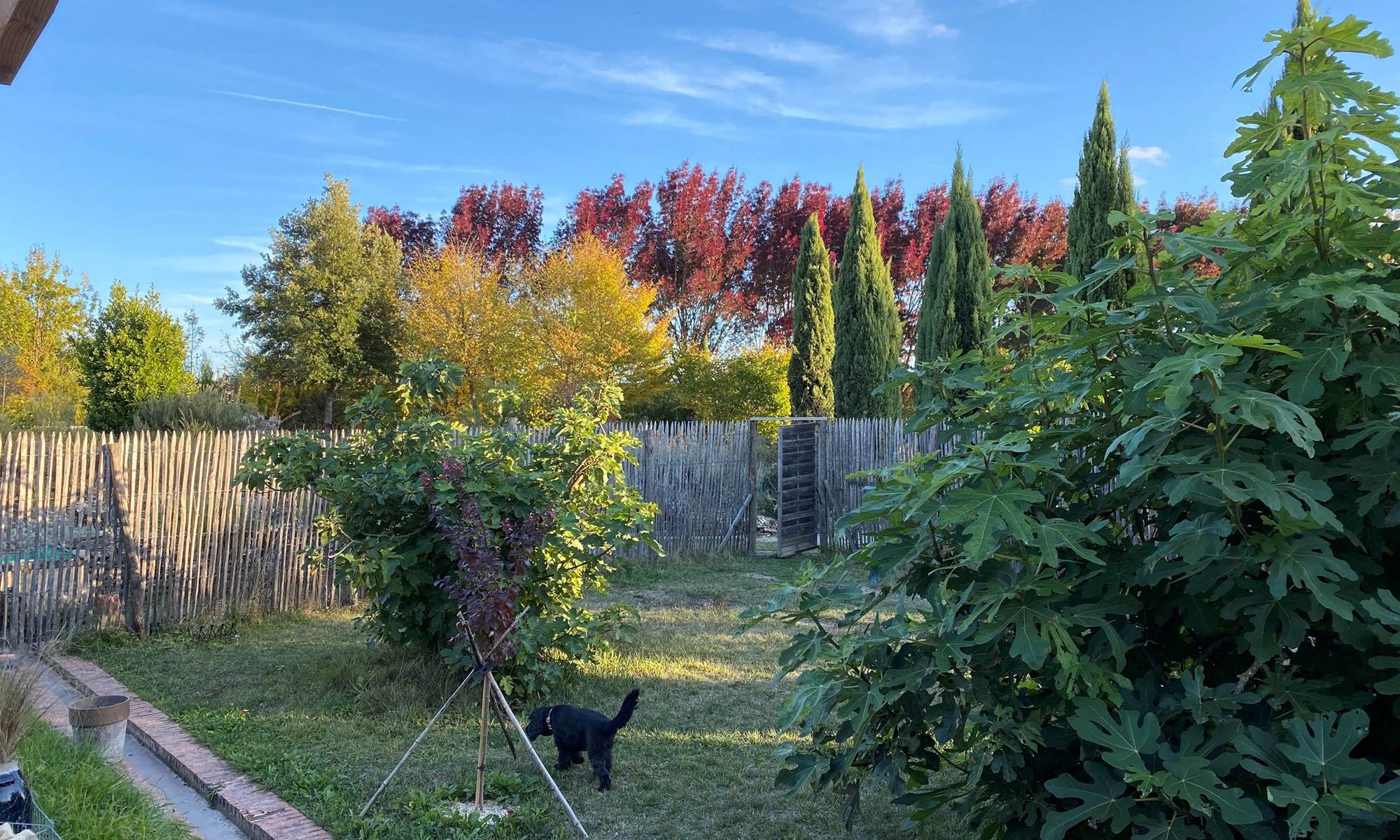 Le jardin en automne-galerie