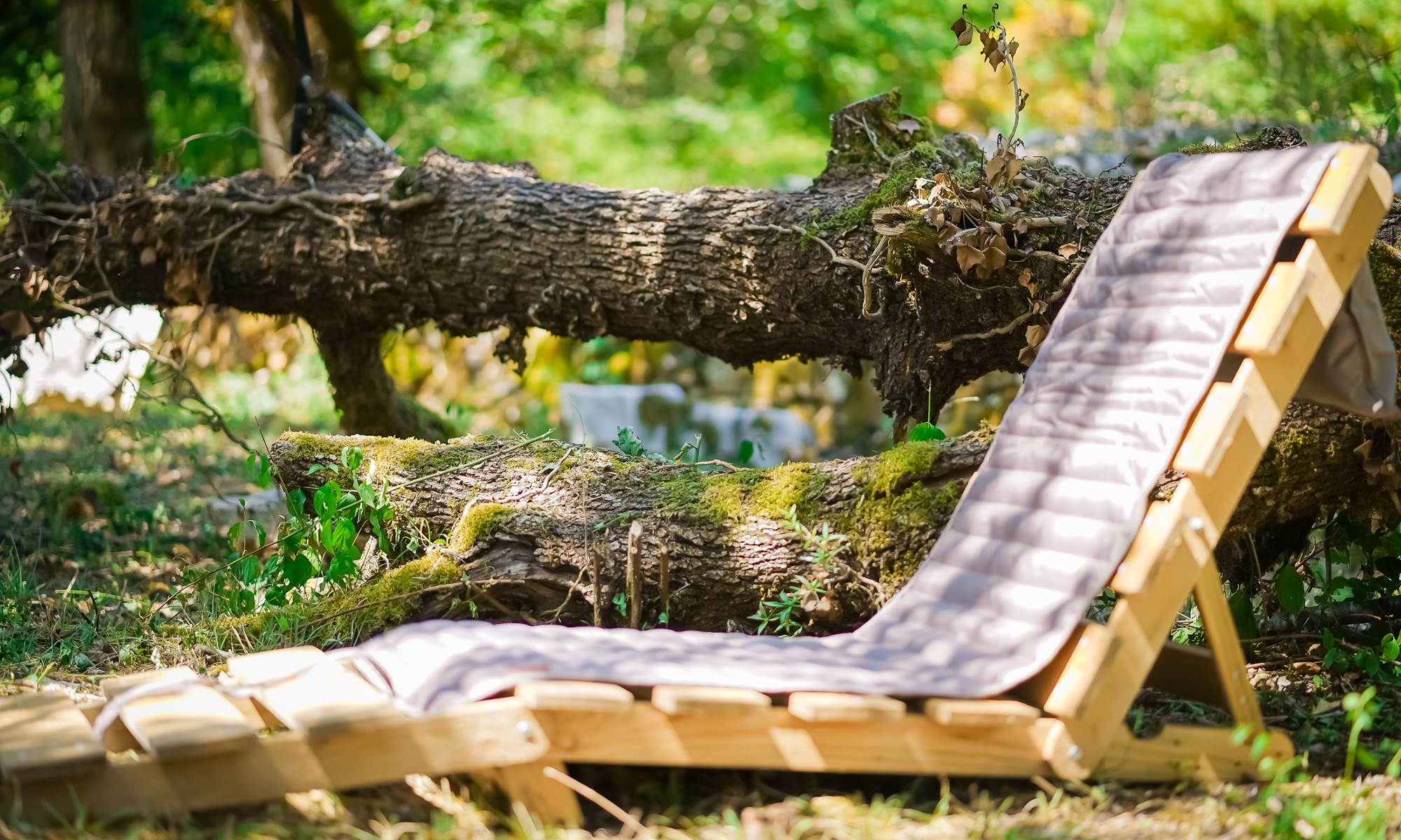 Repos au coeur de nos bois