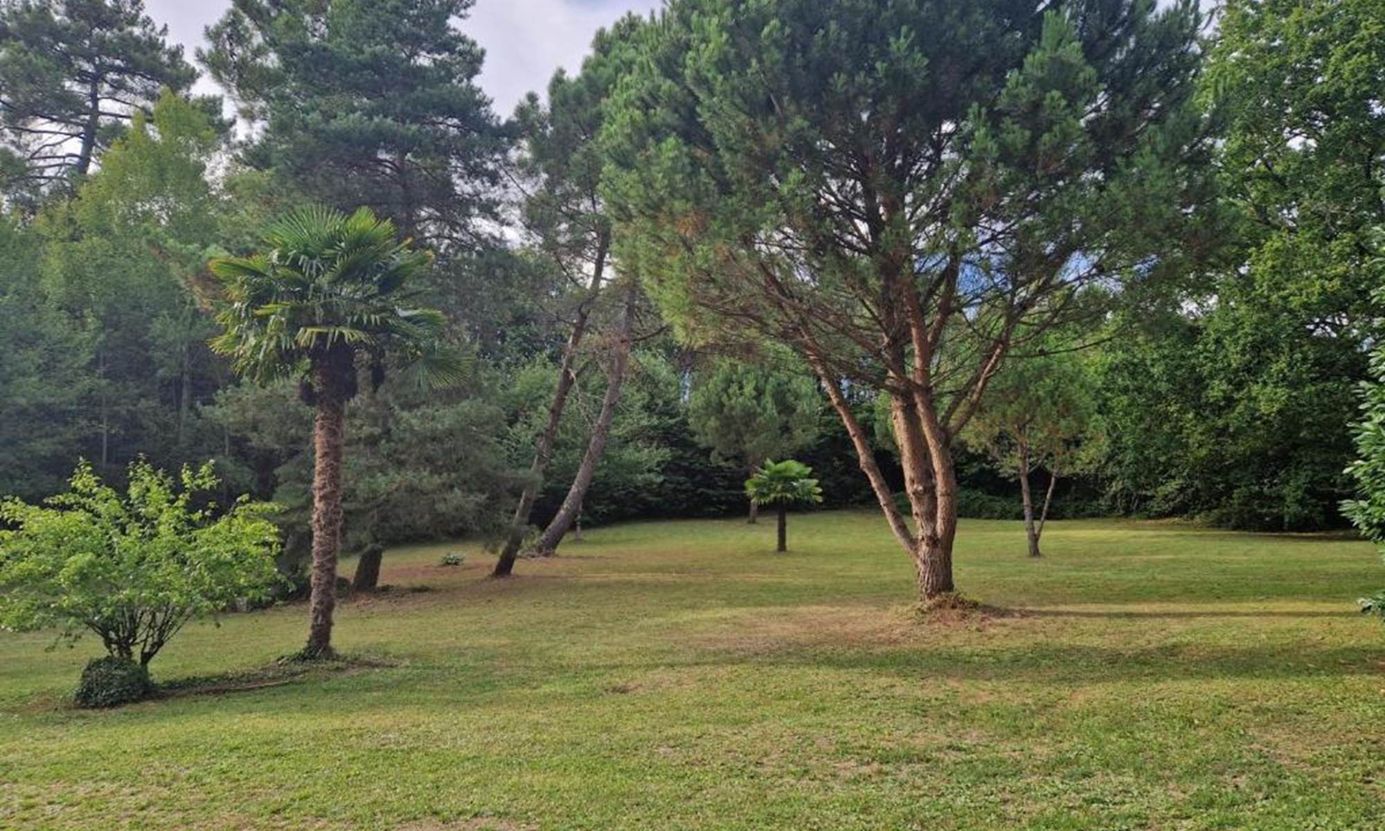 <img src="cours-palmiers-hacienda-soubran.jpg" alt="Cours centrale ornée de palmiers et bananiers à L’Hacienda de Soubran" title="Cour centrale de L’Hacienda de Soubran, ambiance mexicaine">