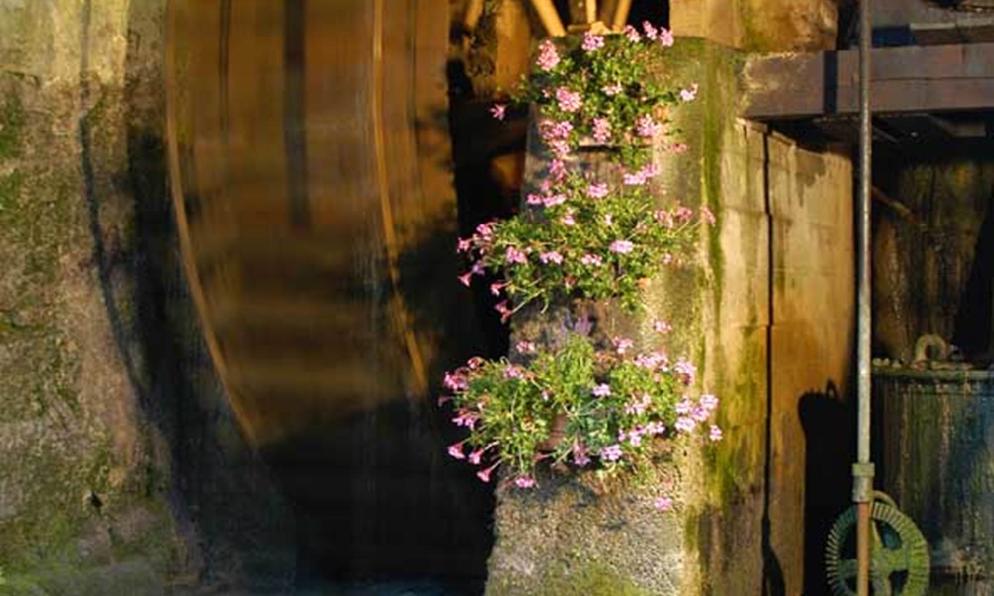 roue a aubes-galerie