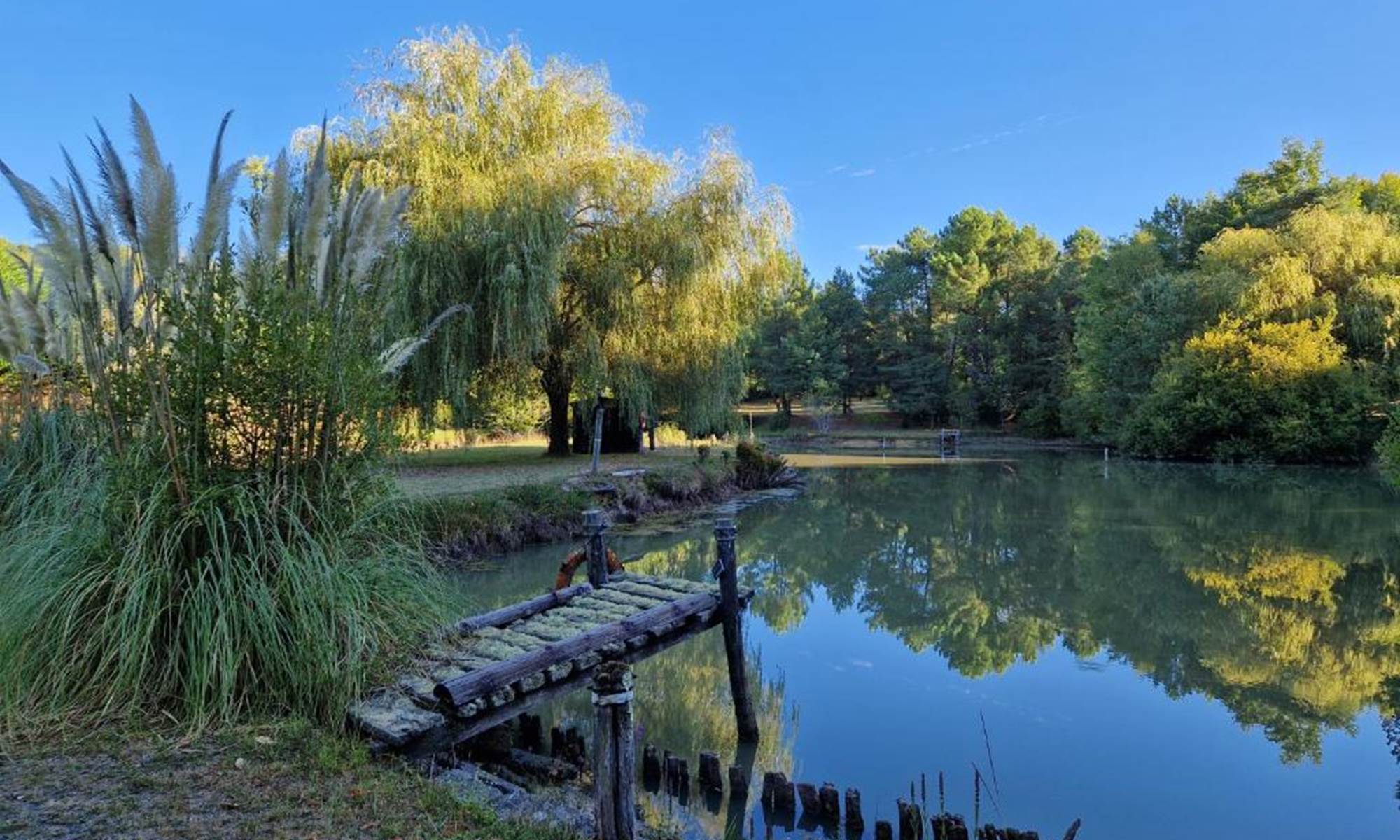<img src="etang-hacienda-soubran.jpg" alt="Balade paisible autour de l’étang du domaine L’Hacienda de Soubran" title="Étang et promenade à L’Hacienda de Soubran, Charente-Maritime">