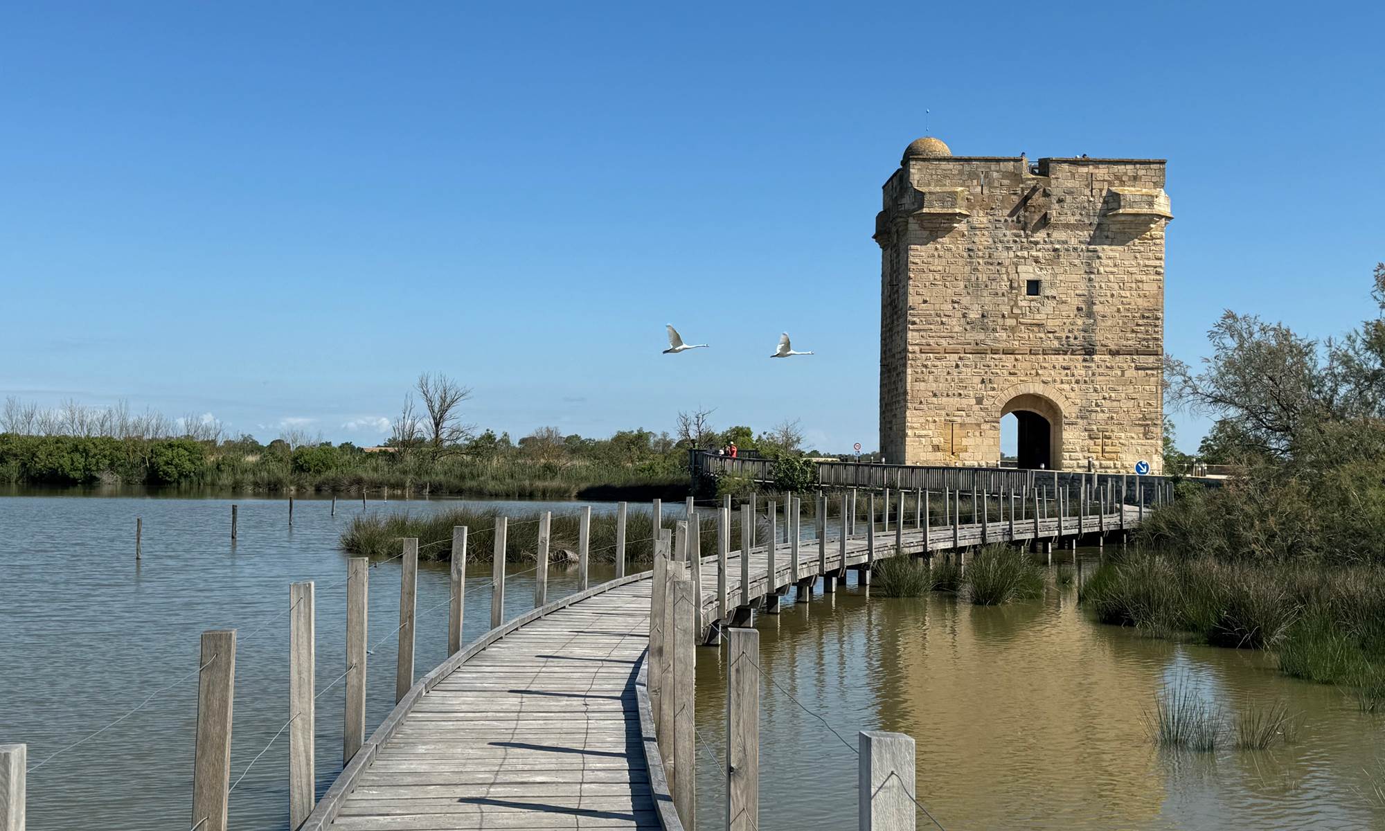 Tour Carbonnière vers Aigues-Mortes