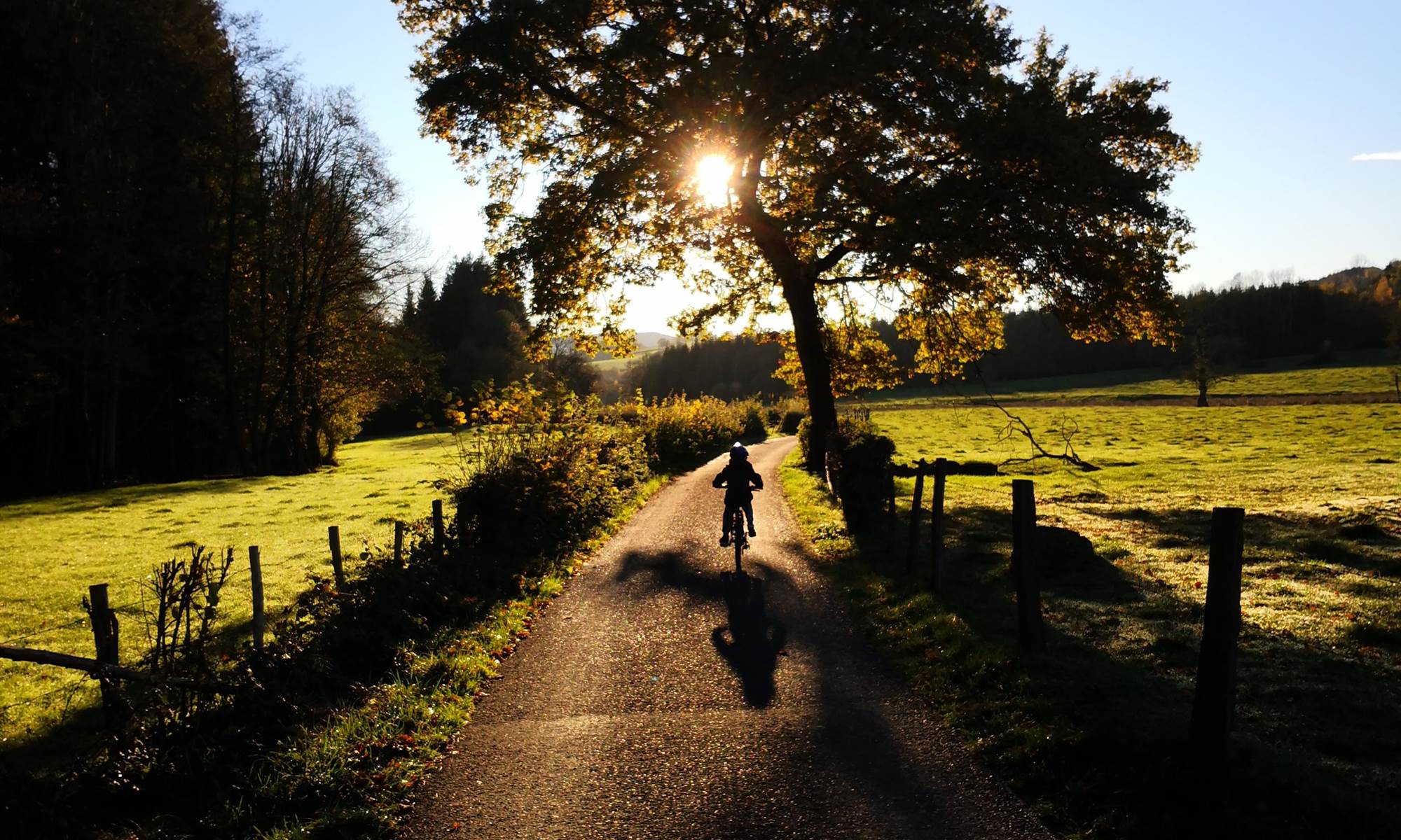 Chemin de promenade le long du Roannay