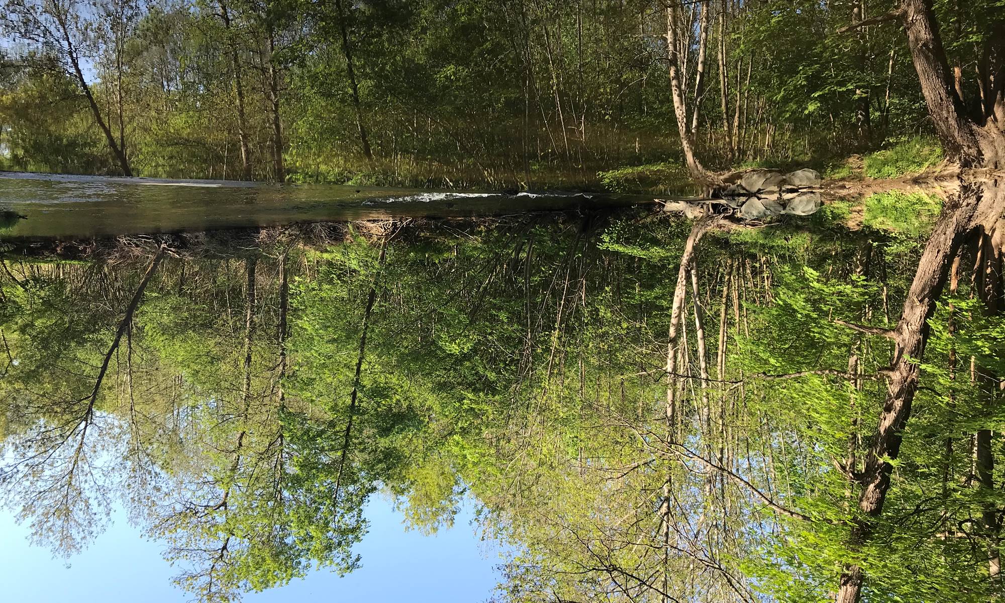 Nos alentours, les rives du Lignon