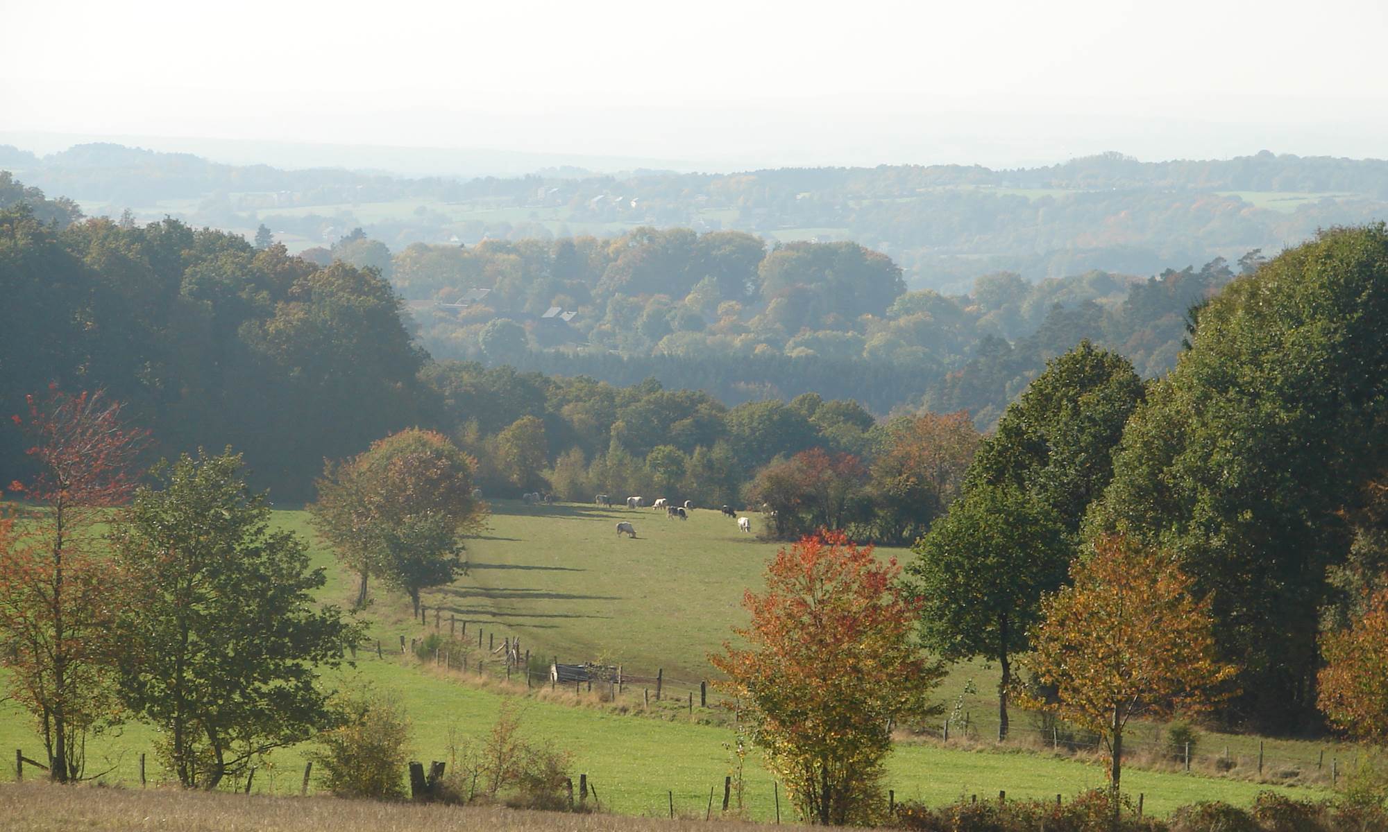 Nos ardennes-galerie