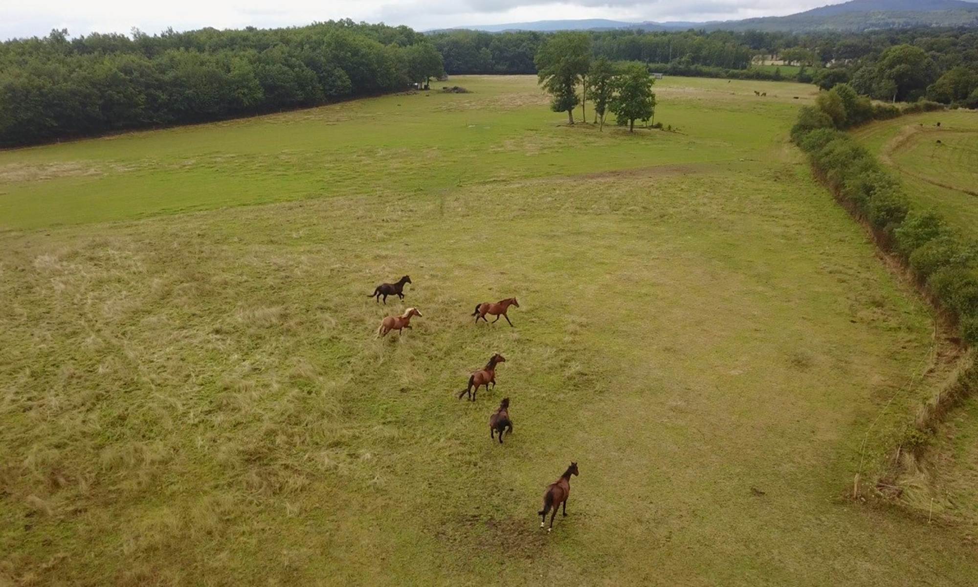 La chevauchée en Creuse balades et randonnées-galerie