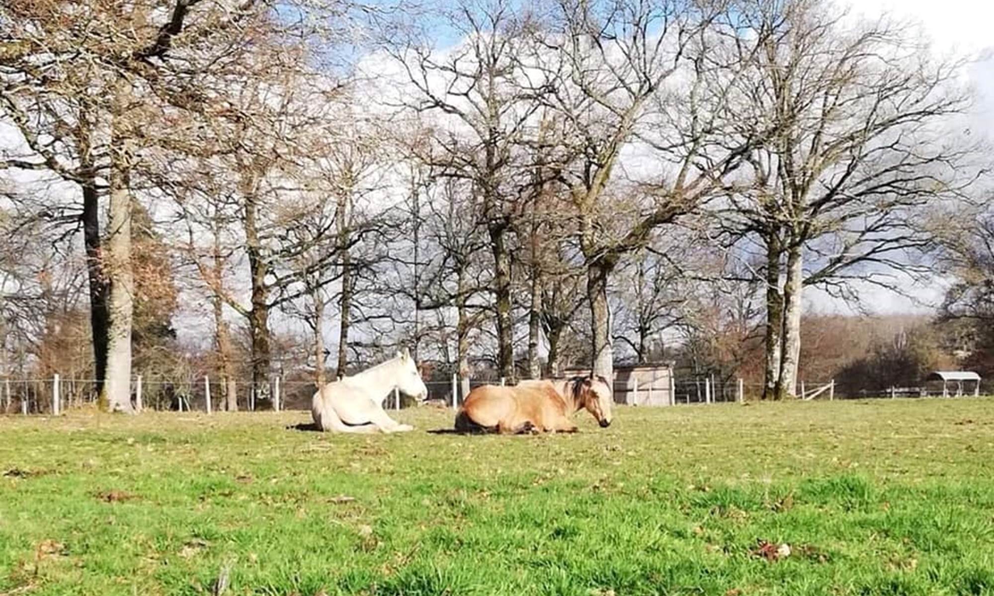 La chevauchée en Creuse balades et randonnées pension-galerie
