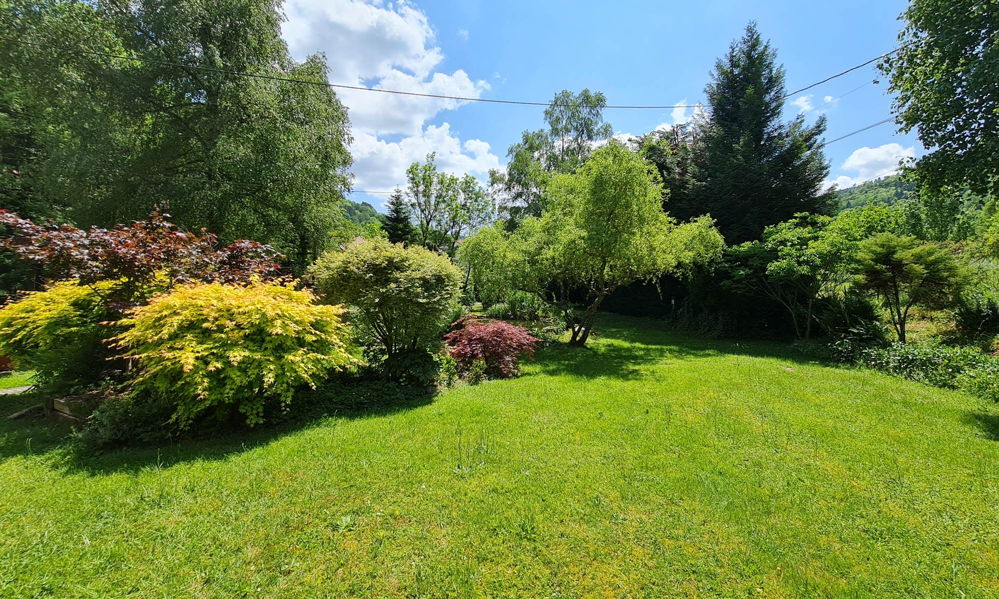 20230602_134155-galerie