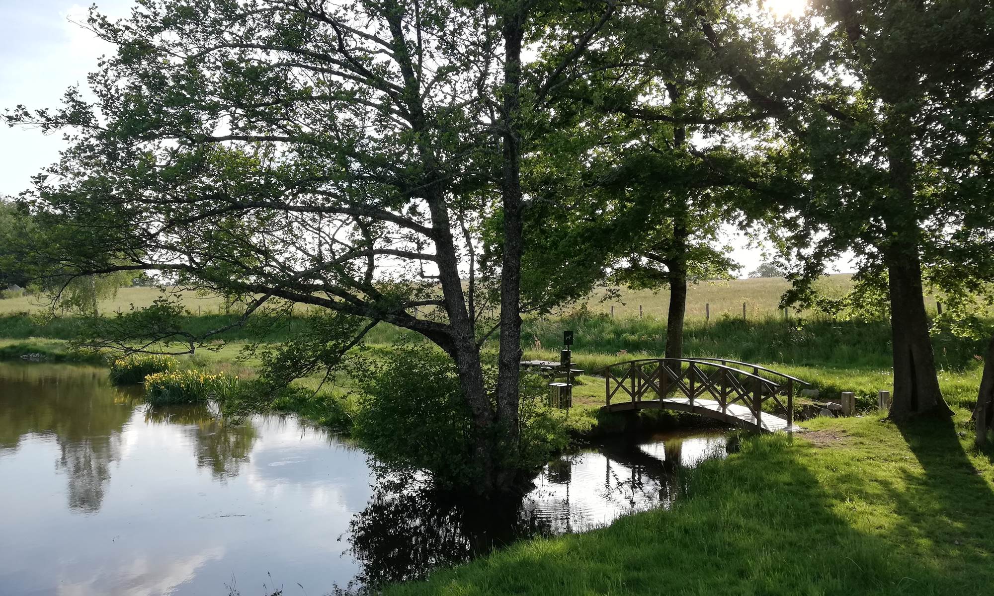 pêche à la carpe en haute vienne 87 camping-galerie