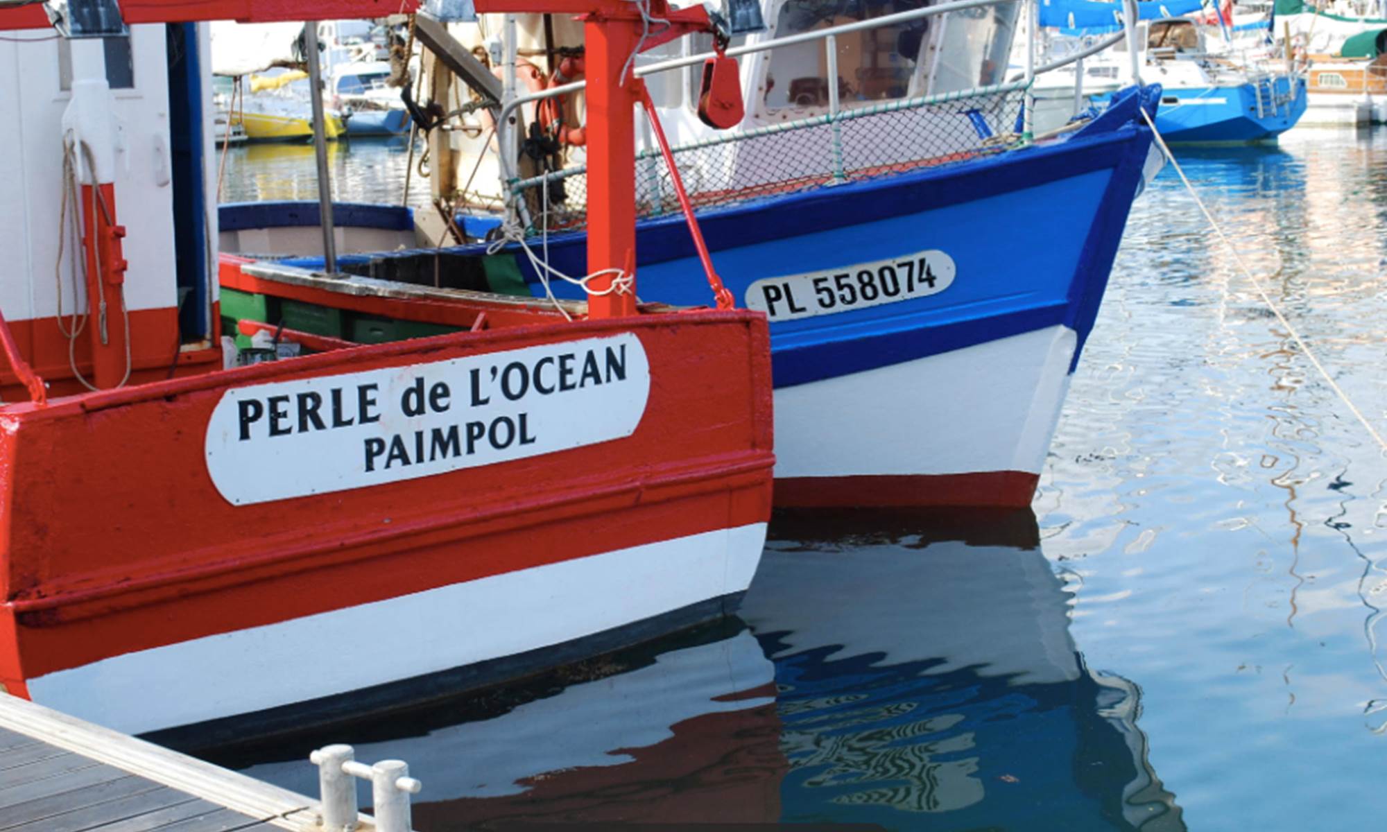 Port de Paimpol bateaux-galerie