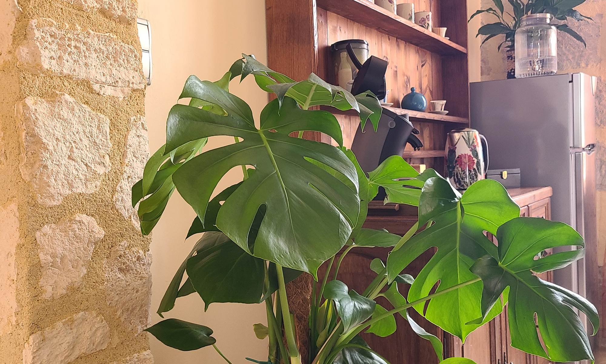 Coffee & Tea bar-galerie