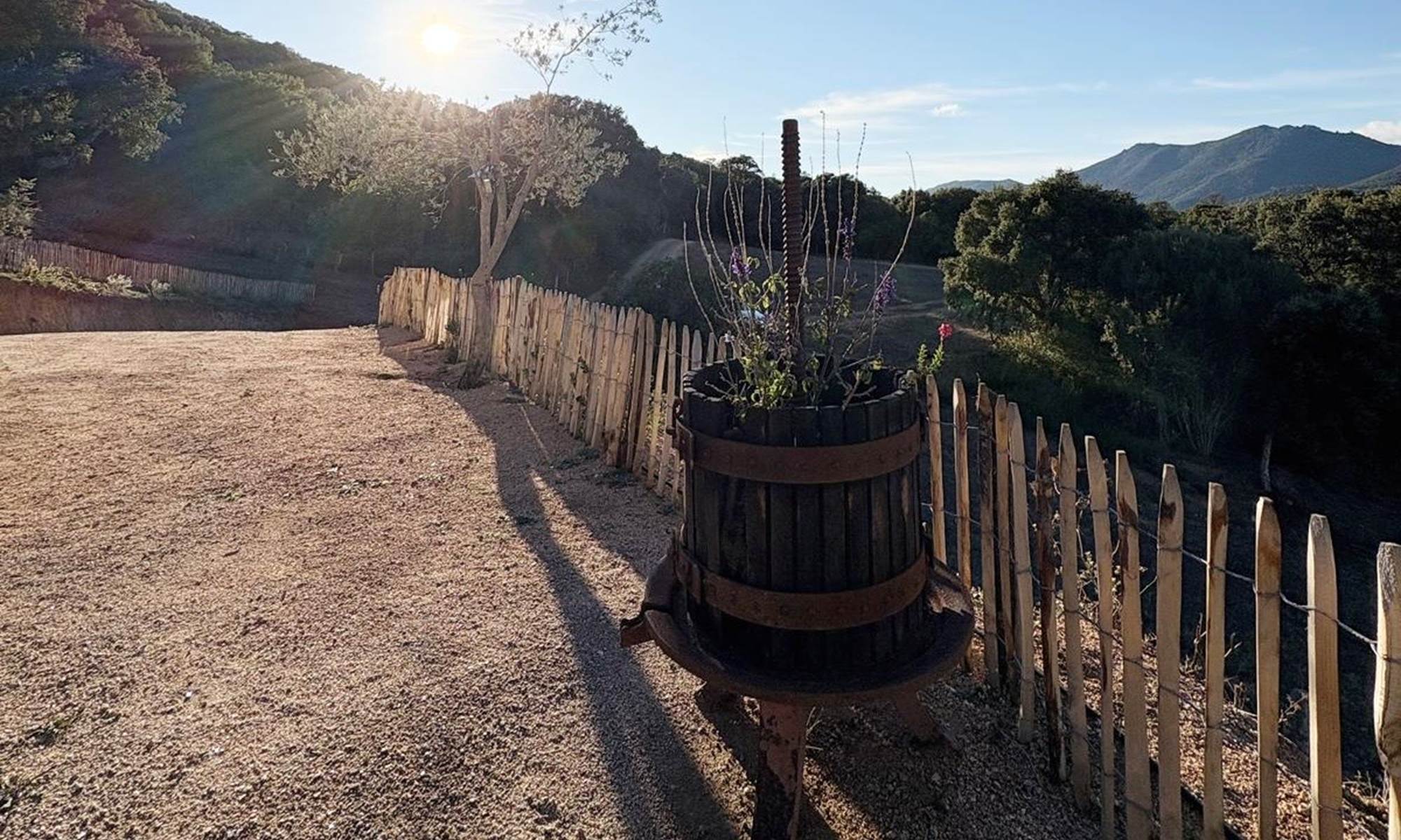 687d1875-2fbd-47a6-8b50-164c29645650