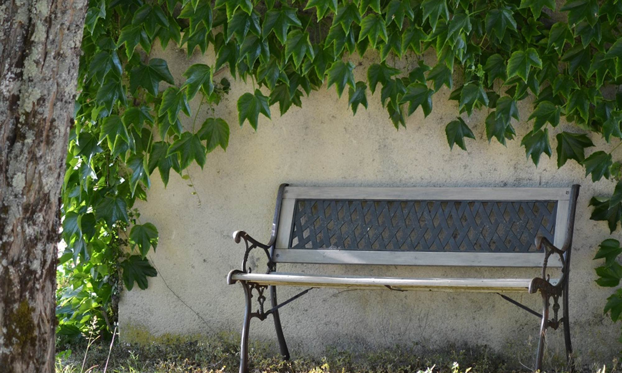 Maison Les Chandelles, Banc