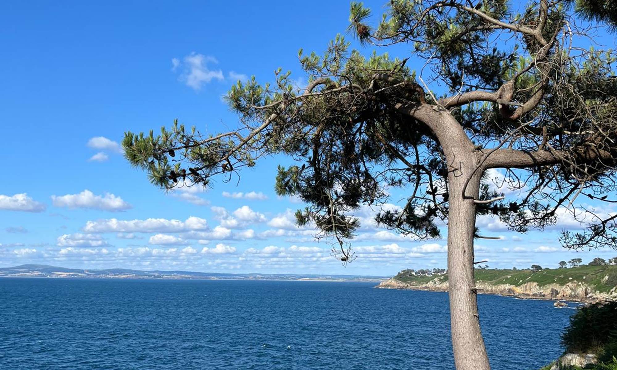 PHOTO-2025-07-12-10-20-57