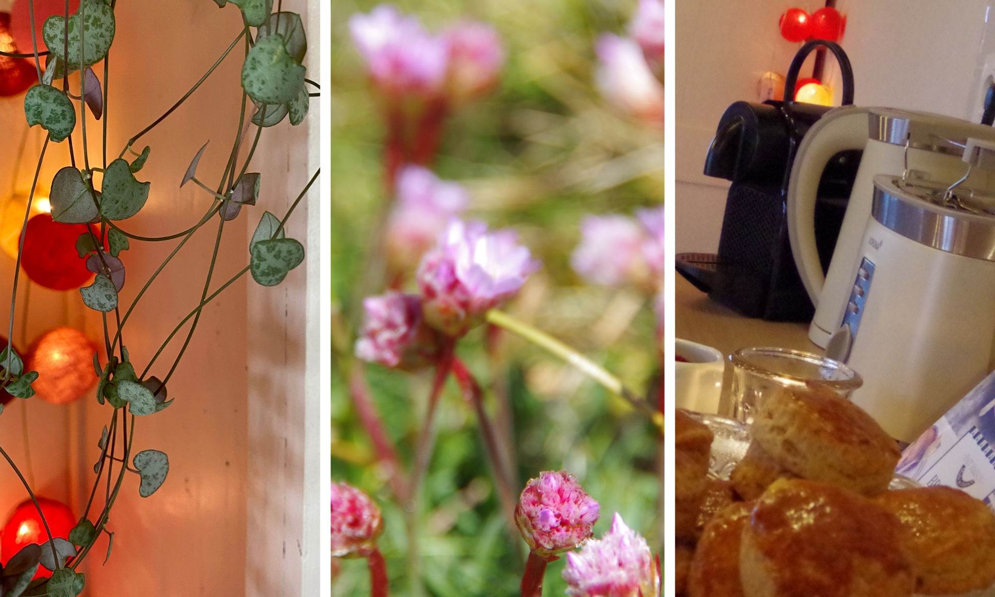 Des couleurs toutes douces à La Grange