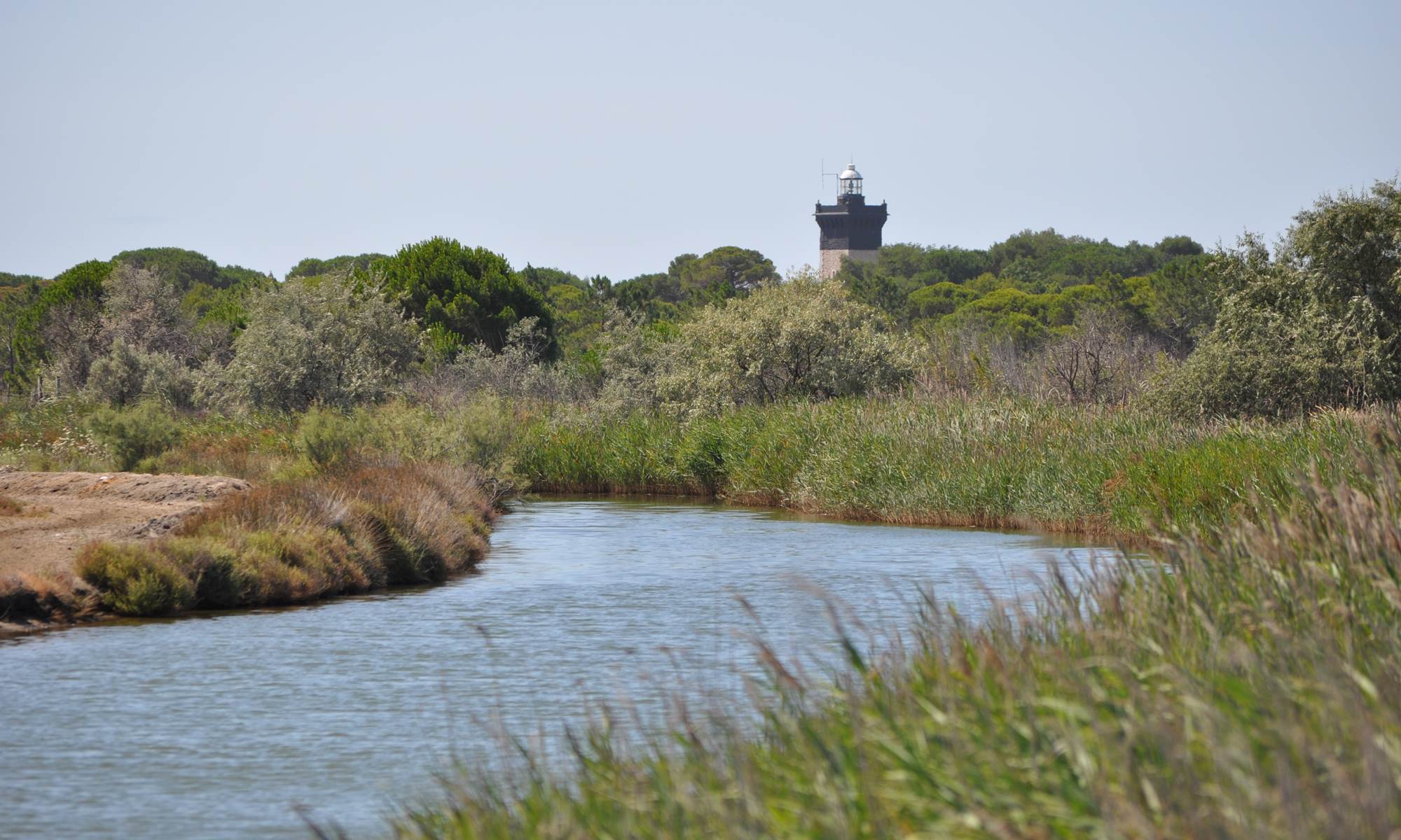 Phare de L'Espiguette