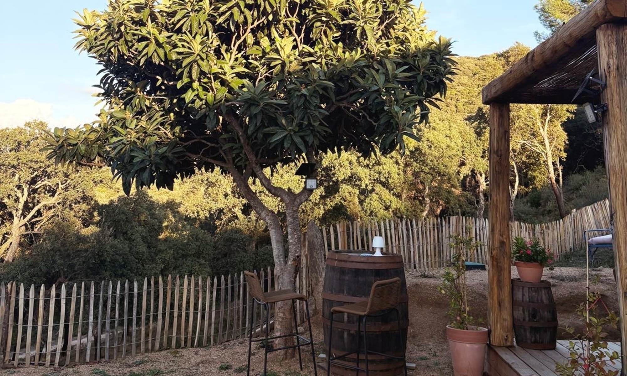 f745a5e3-7d72-4b45-bb31-afd150bcfcb6