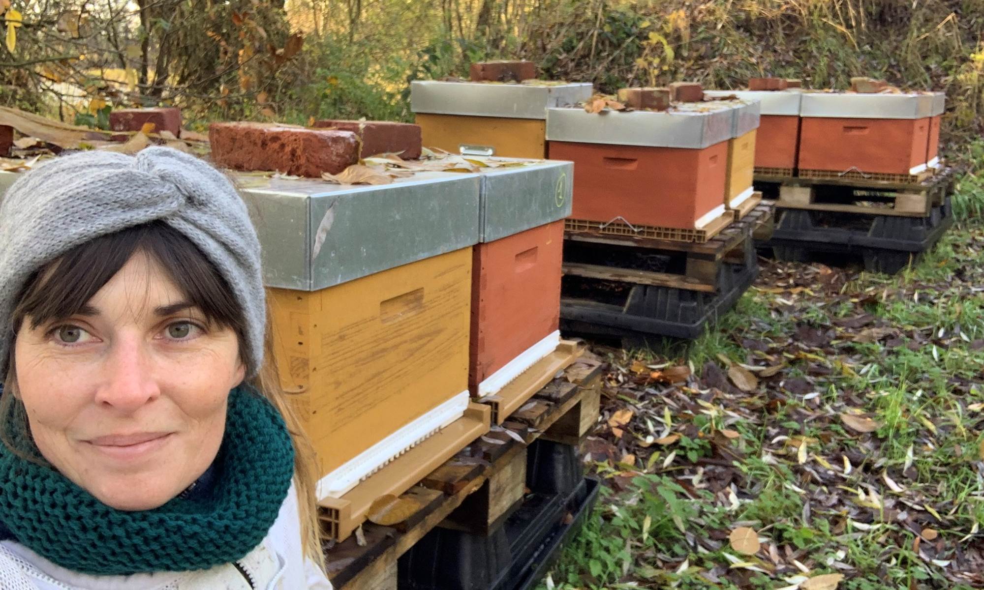 L'APICULTRICE DE L'ARTOIS - Ruches