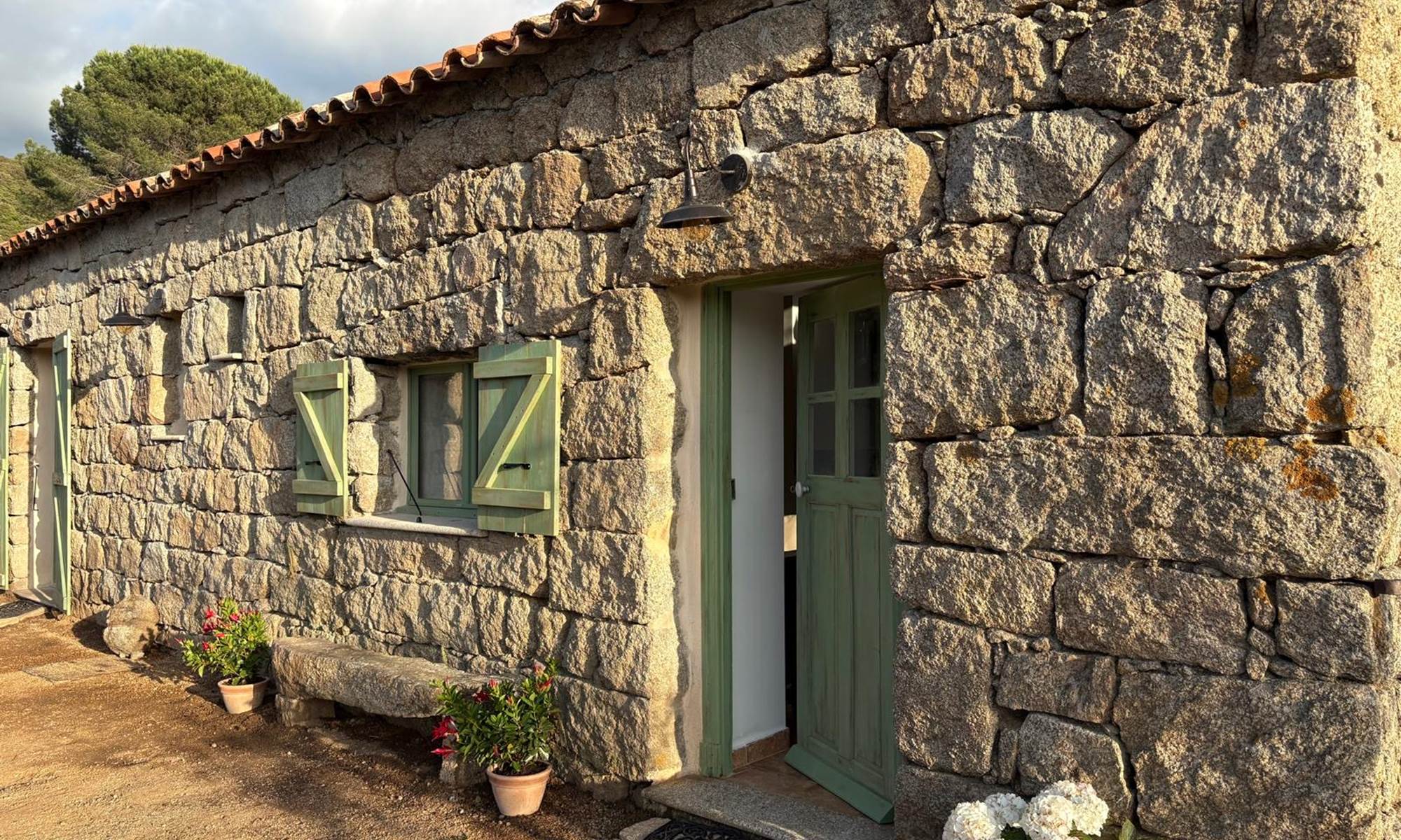 1f318866-a97b-4a00-90e5-6e26c1eb0791