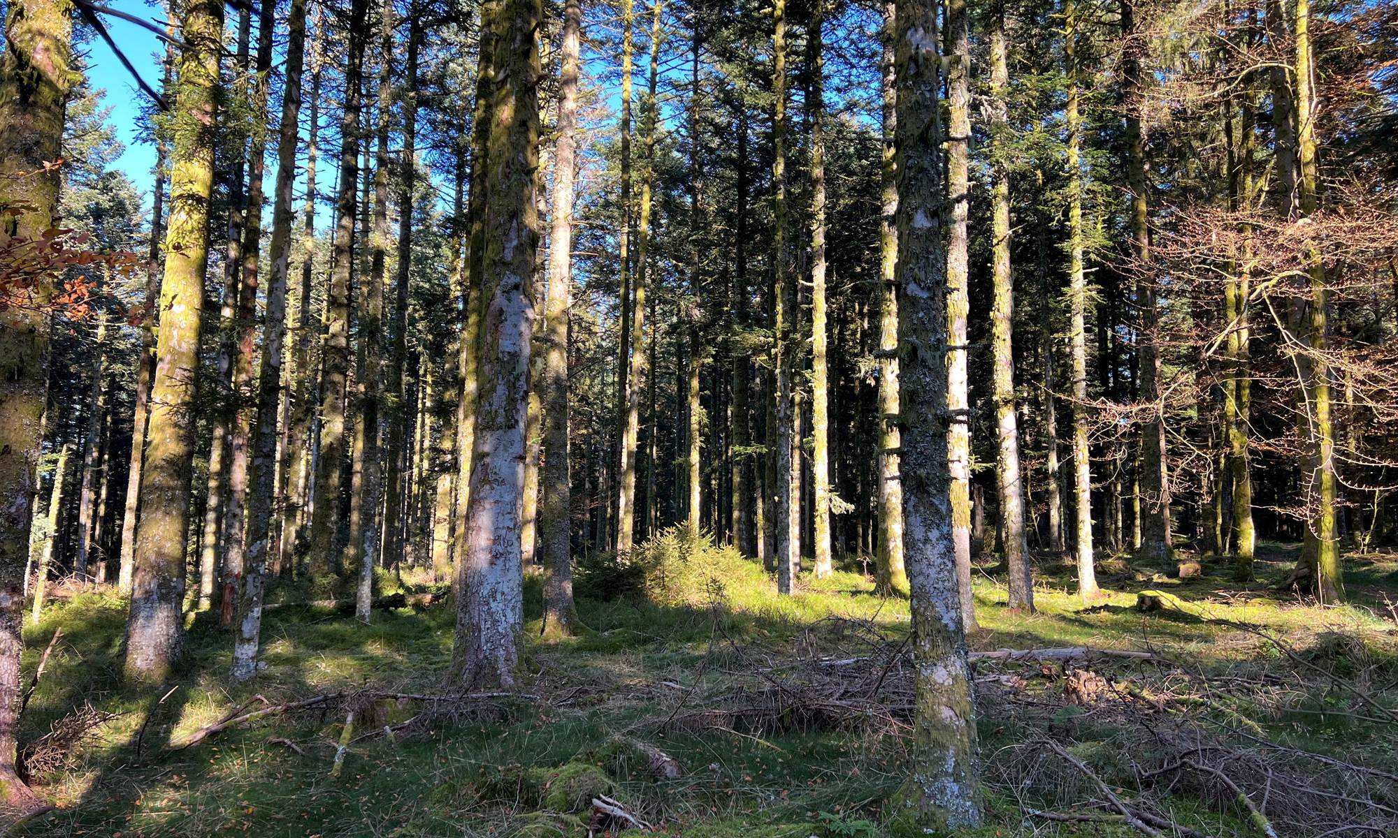 Vacances en famille Vosges-galerie