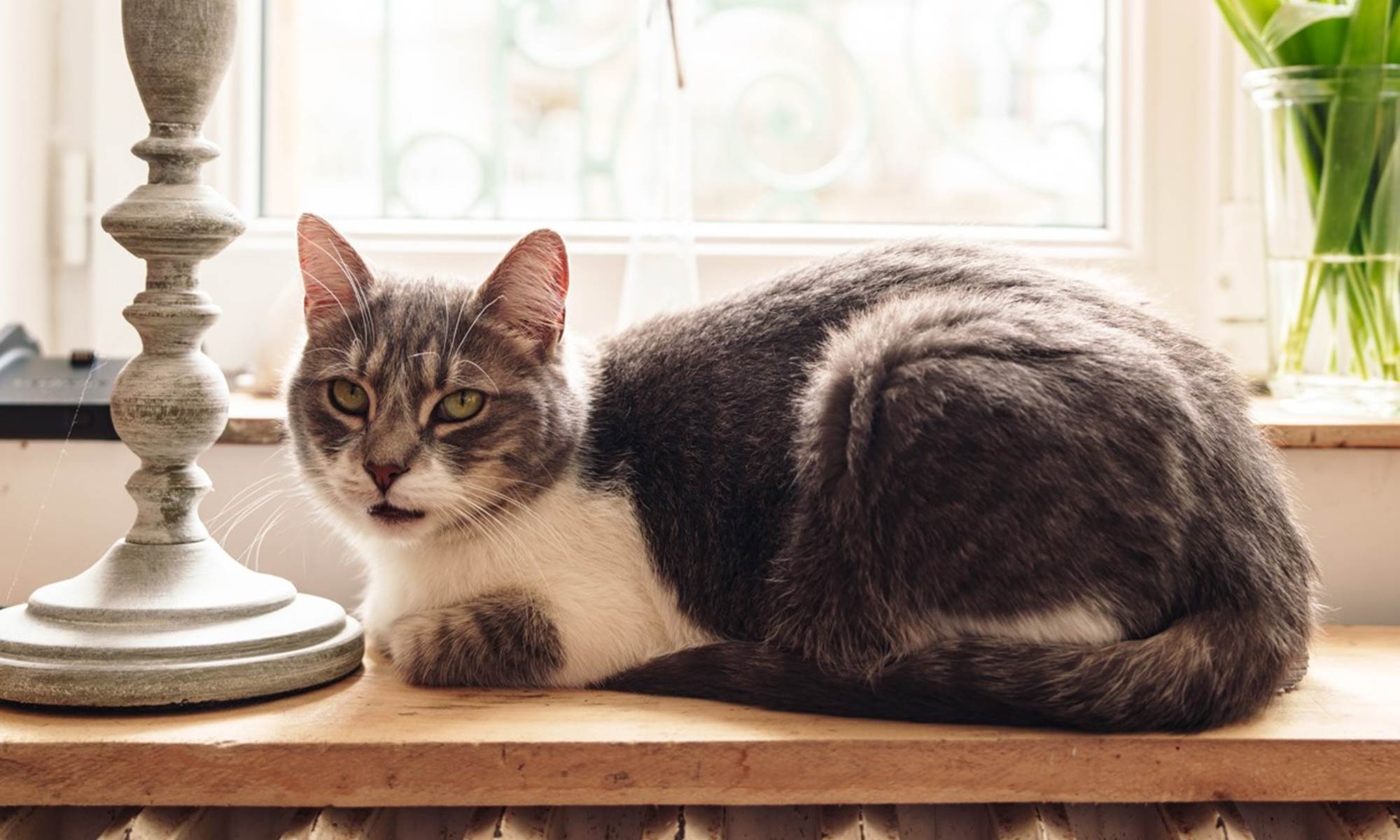 230326la-cantellerie105w bis