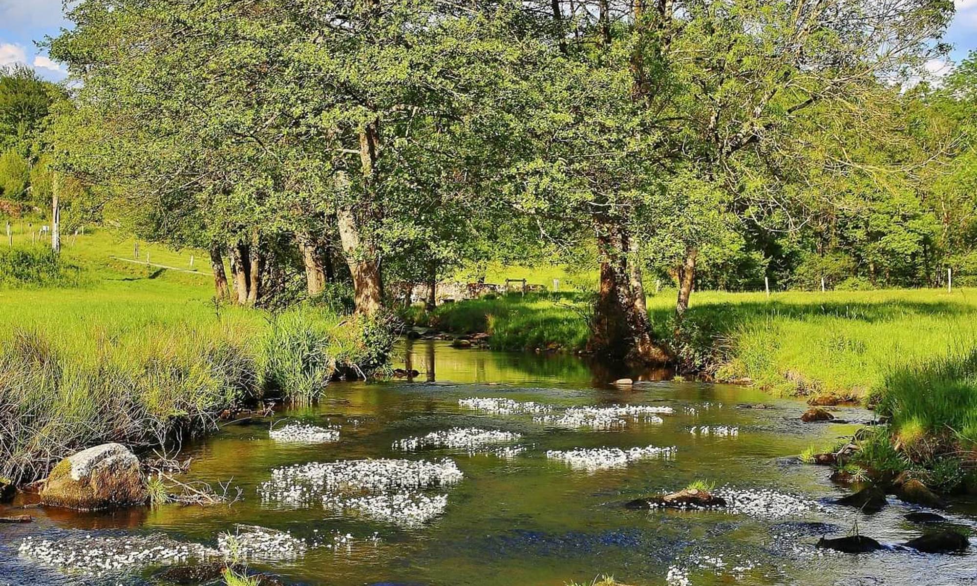 Gite le Masgiral La Gartempe-galerie