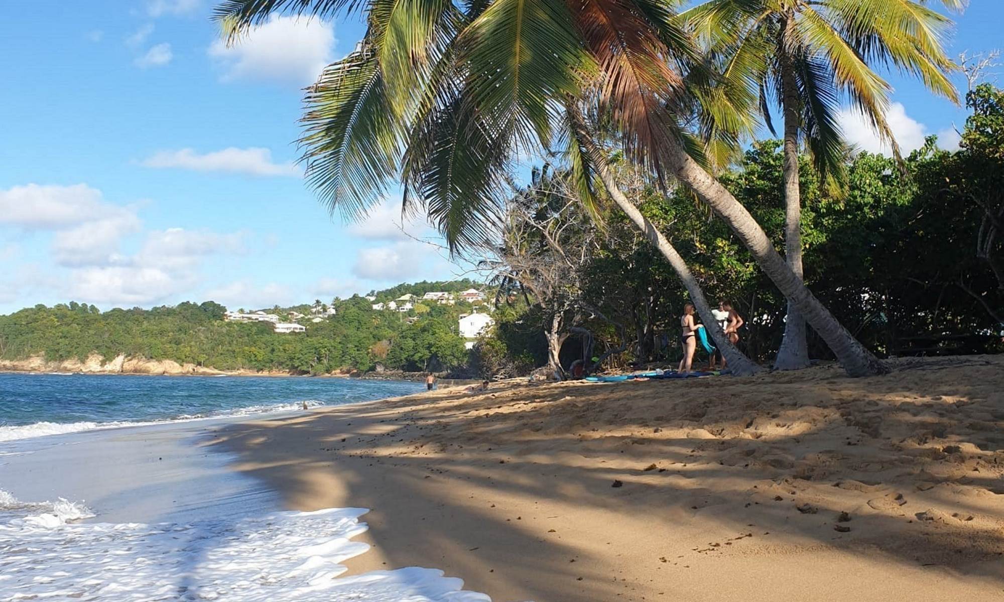 <img src="chemin-de-l-image.jpg" alt="Plages sauvages du sud de la Martinique, à proximité de La Maison de Clémentine, hébergements de luxe à Fort-de-France" />-galerie