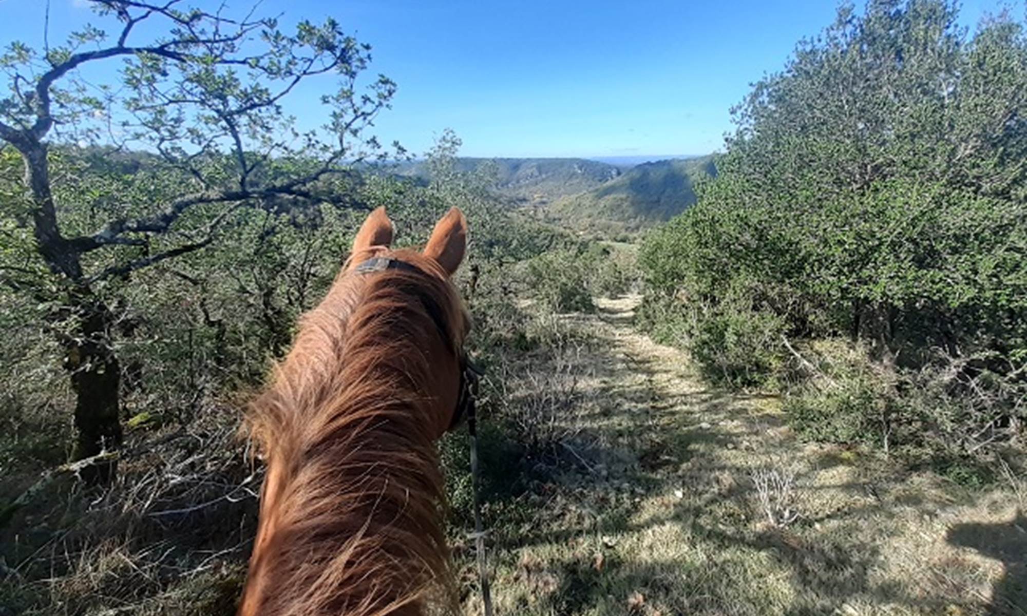 L'Étable des sens - paysage