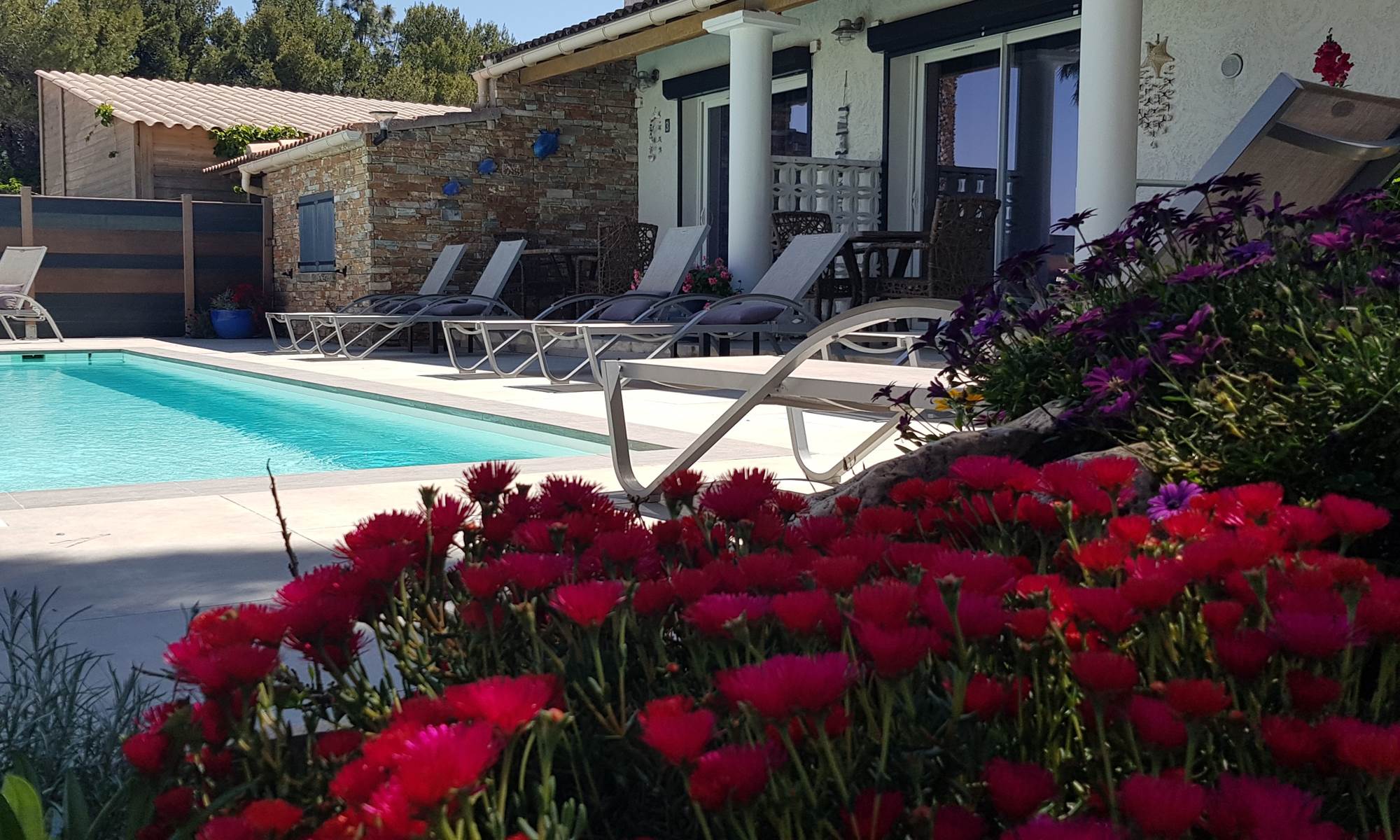 vue-piscine-Appart-Bleu-Azur-Corse