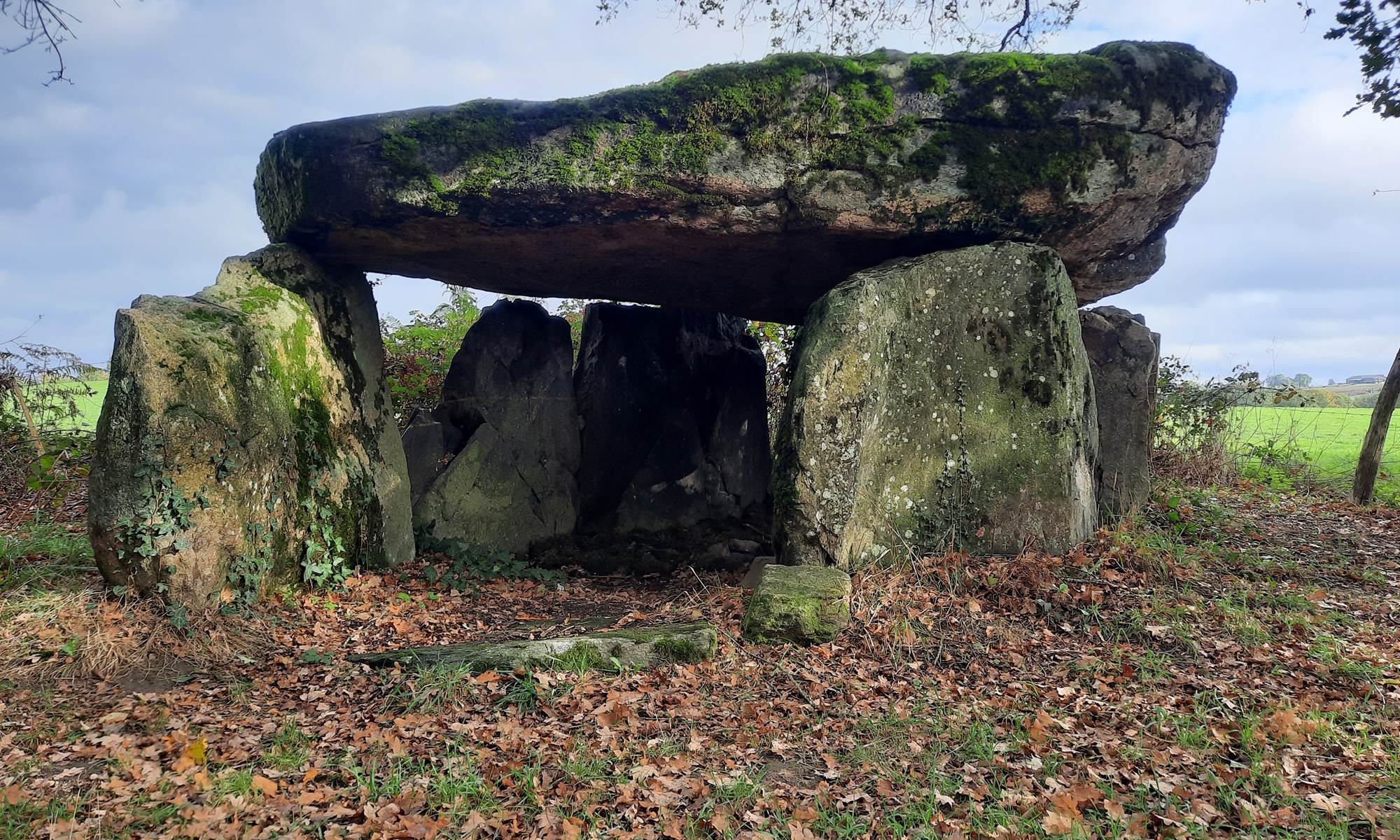 les traces de nos ancêtres