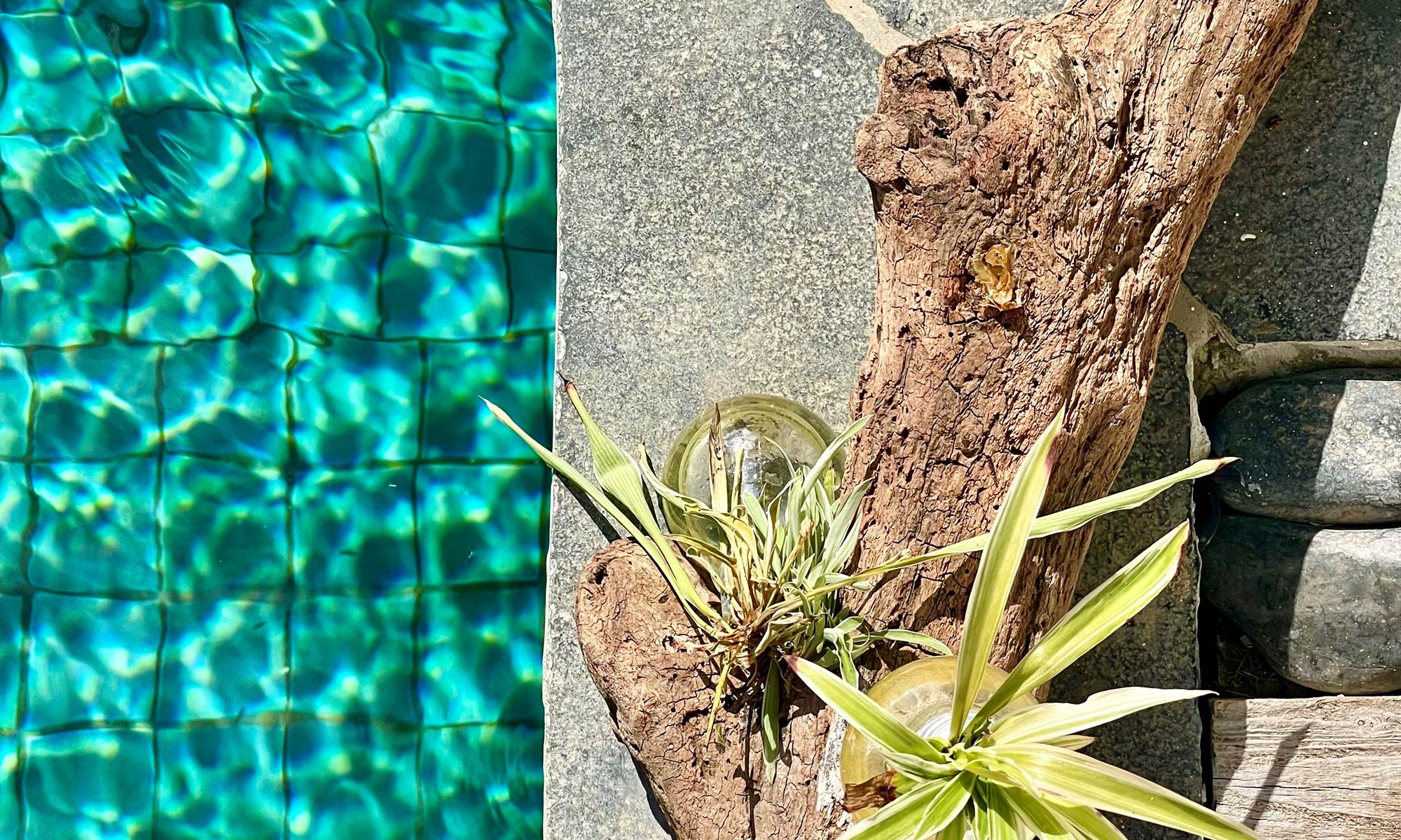 Le Jardin de Ravintsara-galerie