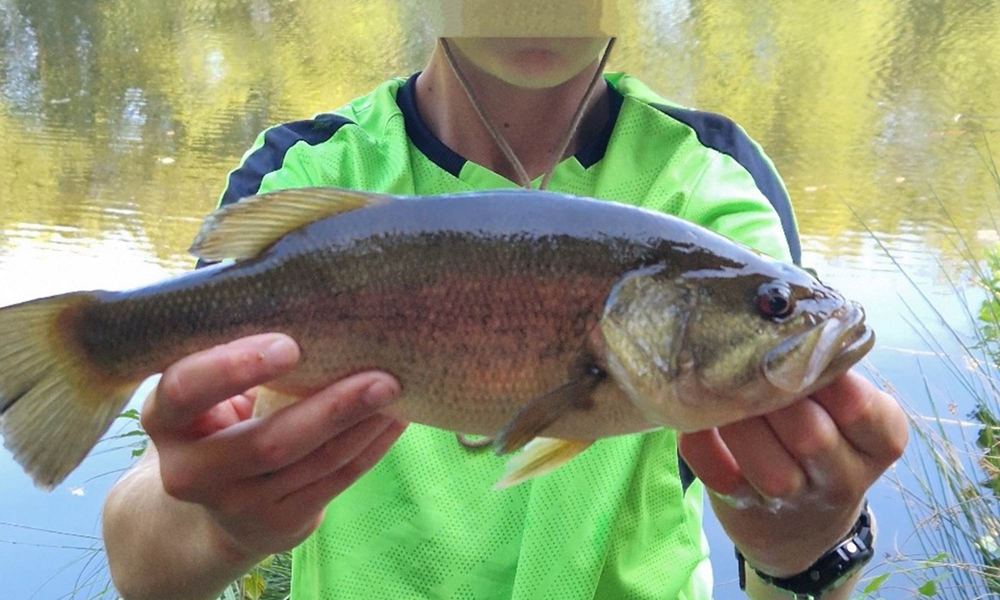 Etant privè à 7km du Moulin de Lavaugarde