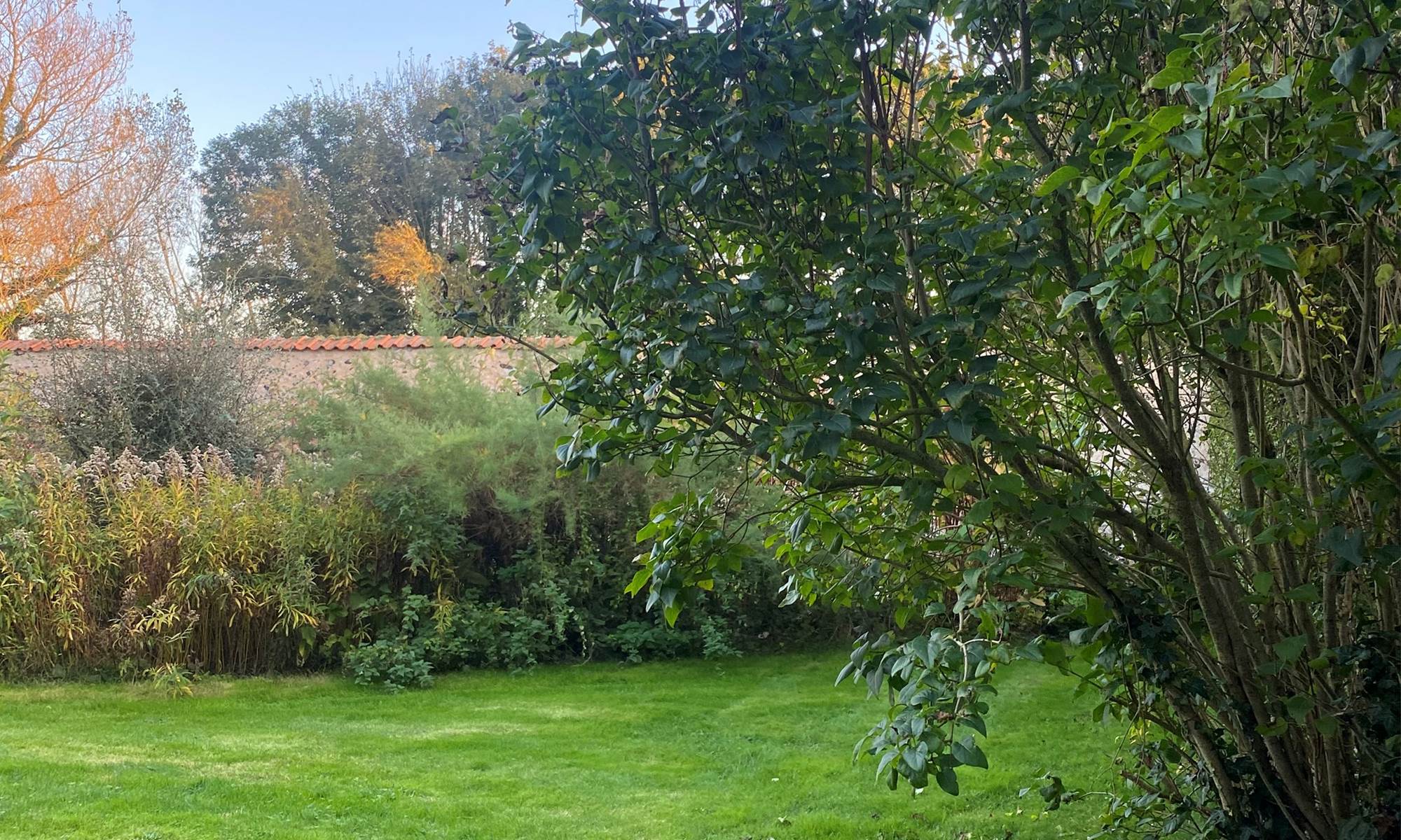 Vue de la chbre La Rêveuse