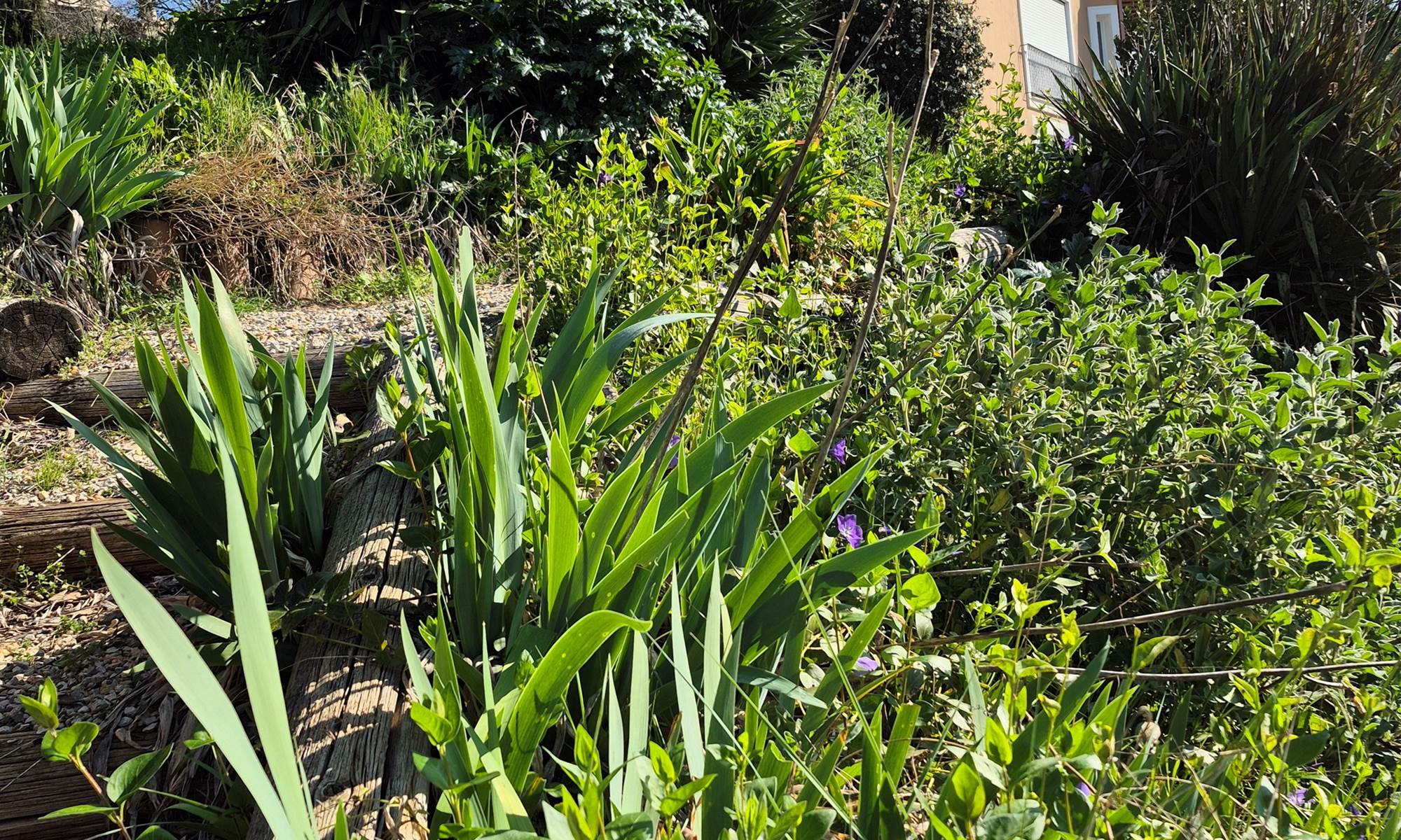 Un coin de jardin-galerie