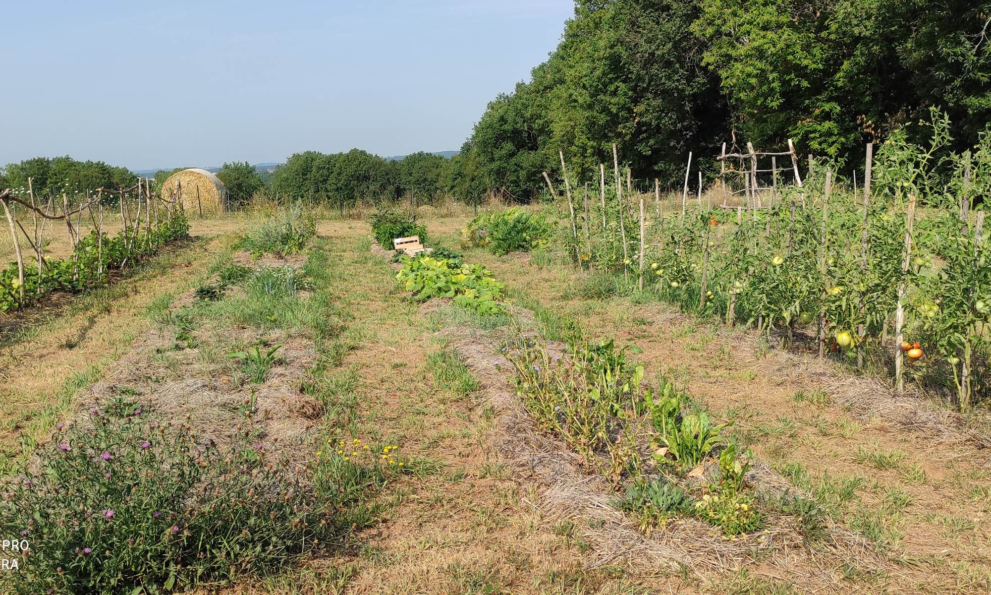 BRITAVIT Potager (2)-page