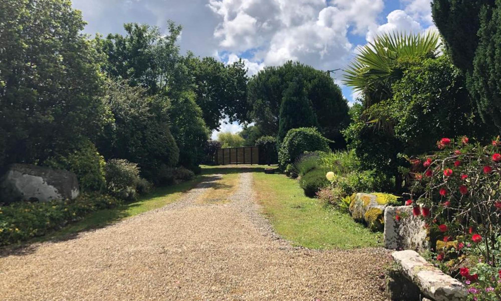 gîte de kergavan - jardin vers le gite