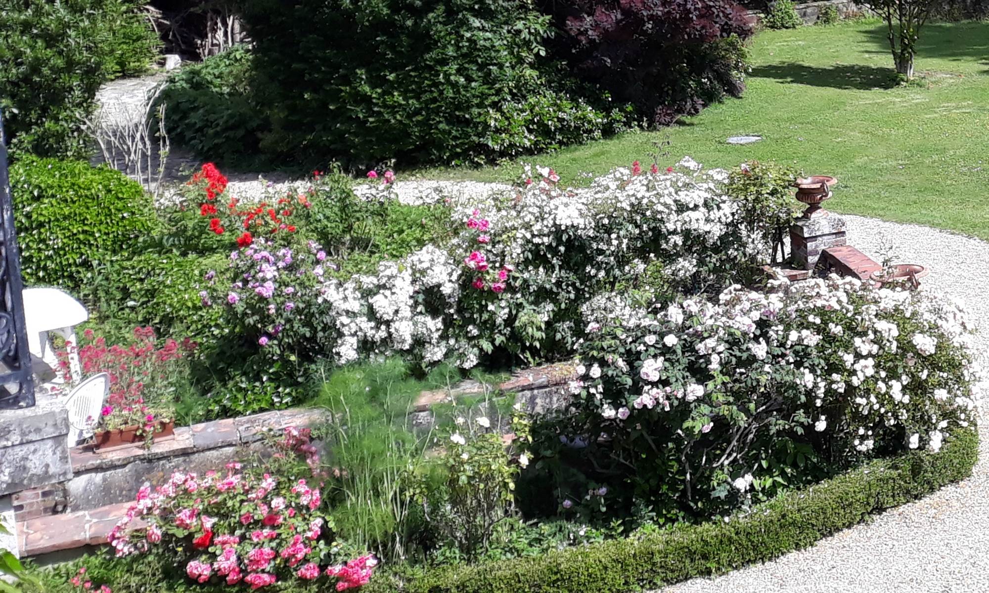 Une partie de la roserai du Clos-galerie