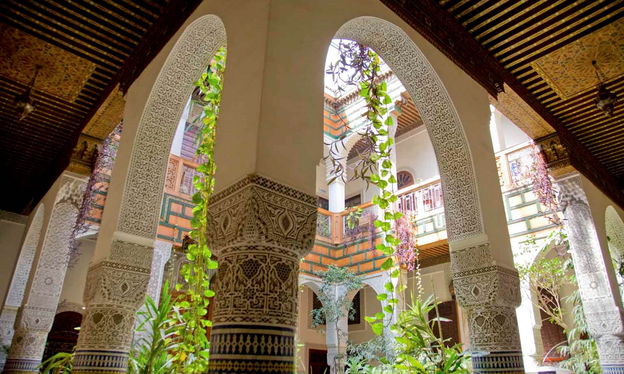 Riad Bartal_7