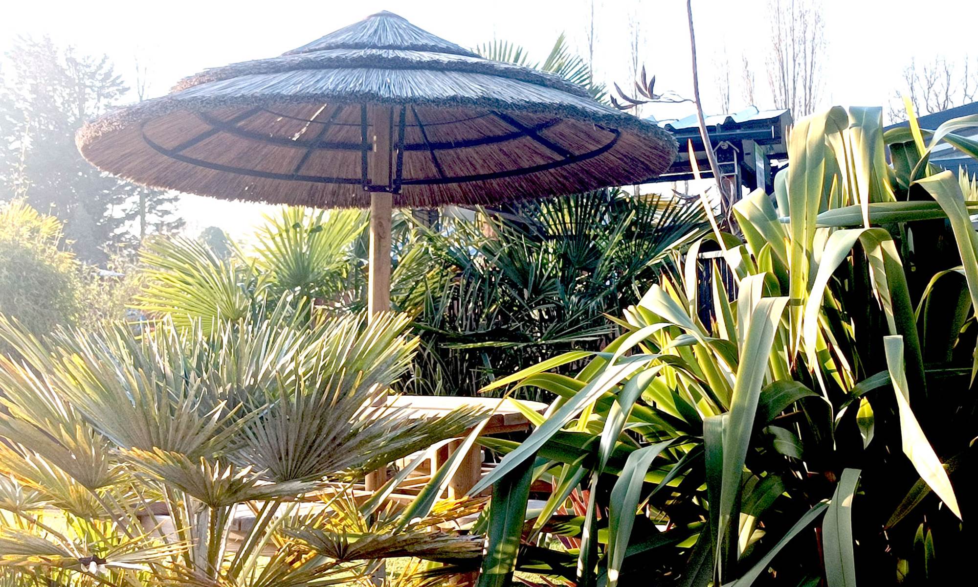 Parasol-place-web-galerie