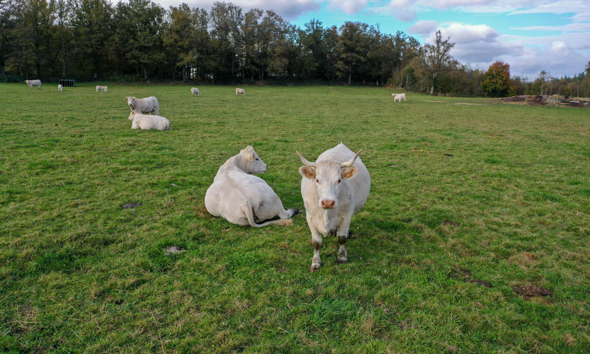 Gite la belle du clocher St pardoux d'arnet proche Crocq Terra Aventura